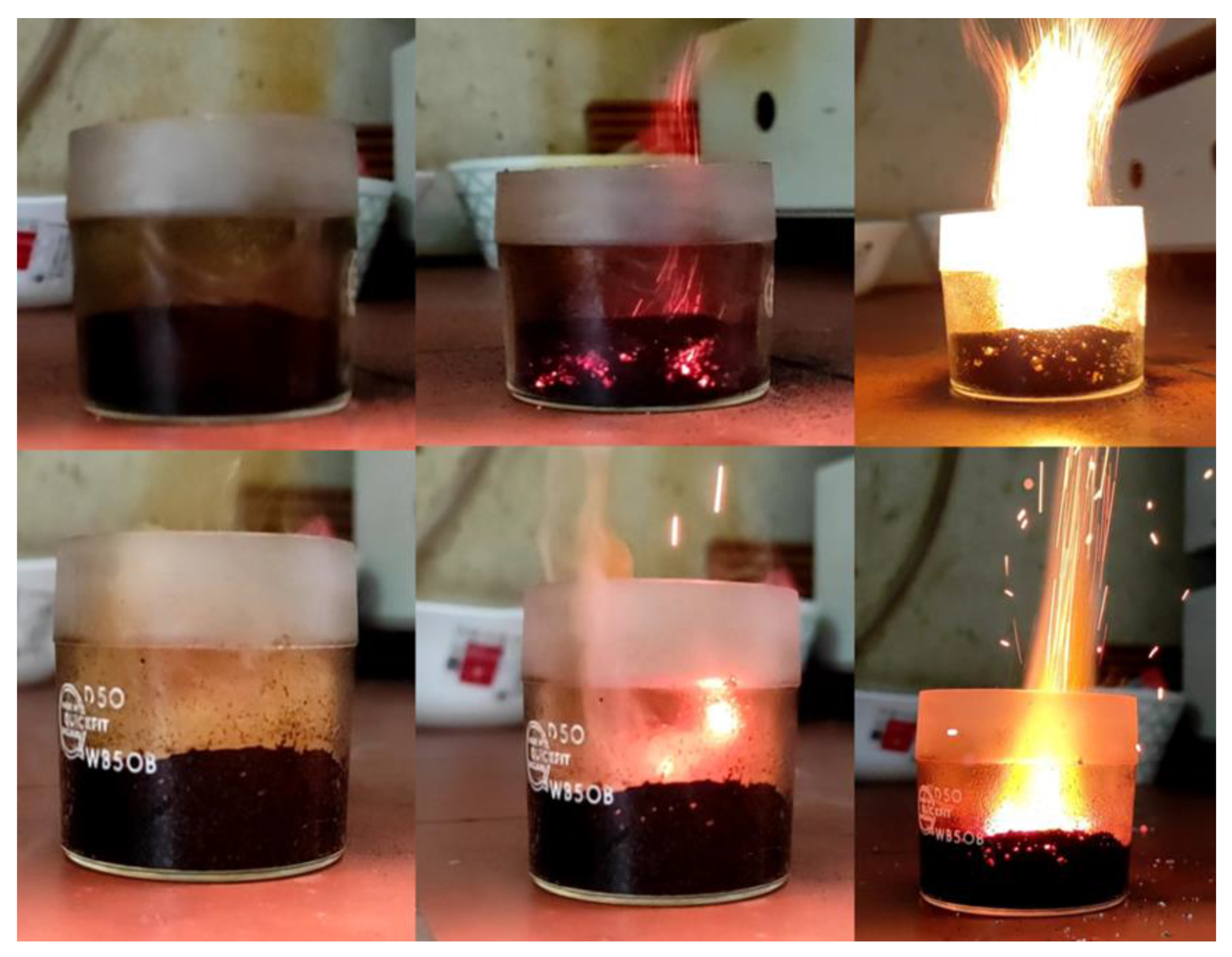 Micro 02 00009 g009 Micro 02 00009 g009