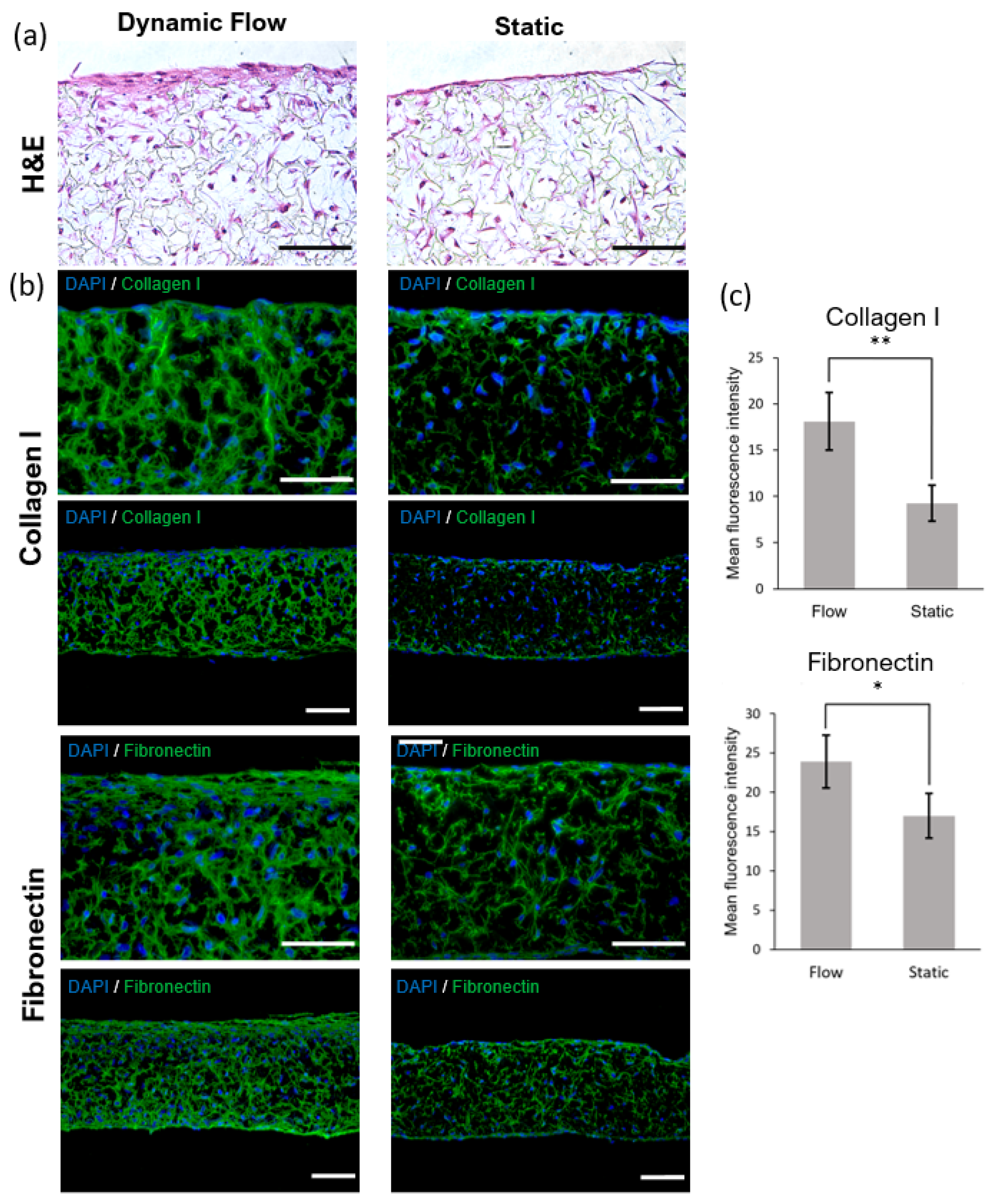 Micro 02 00013 g004 550