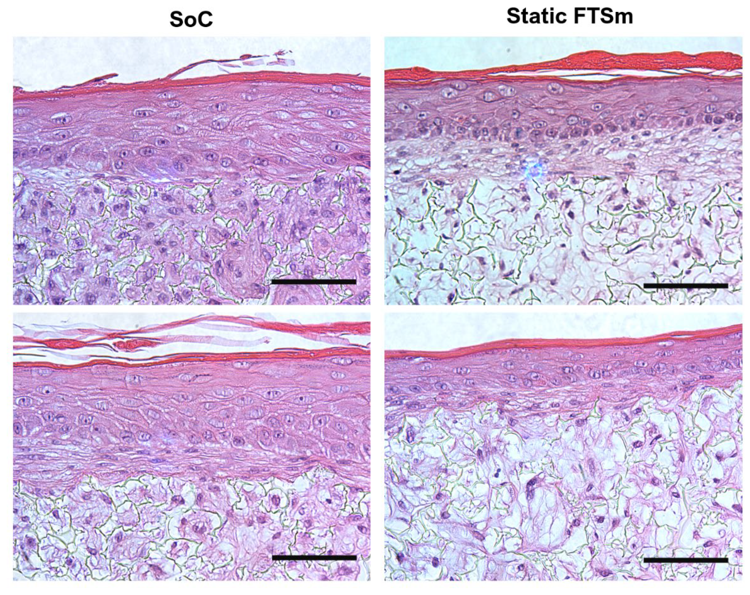 Micro 02 00013 g005 550