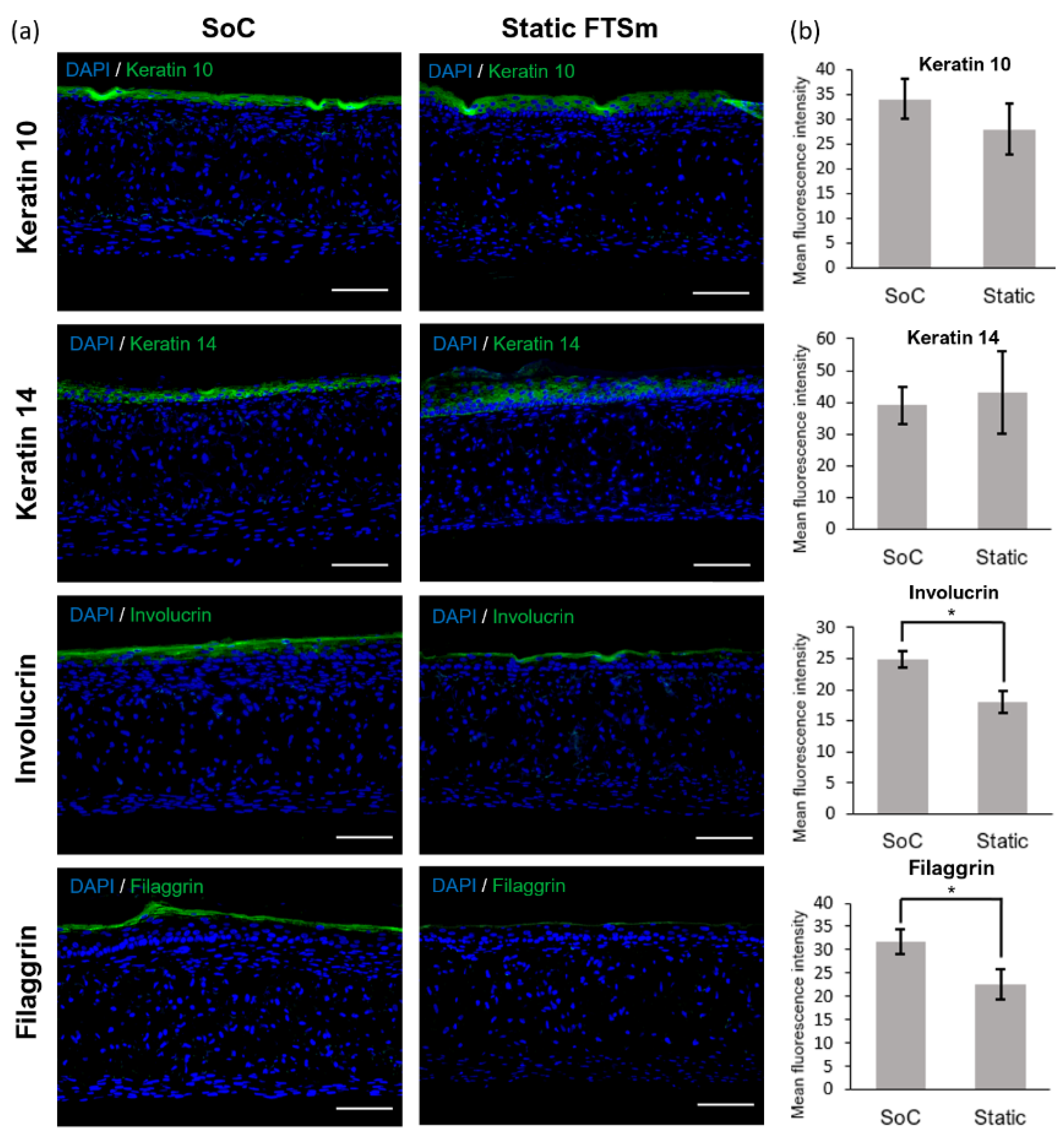 Micro 02 00013 g007 550