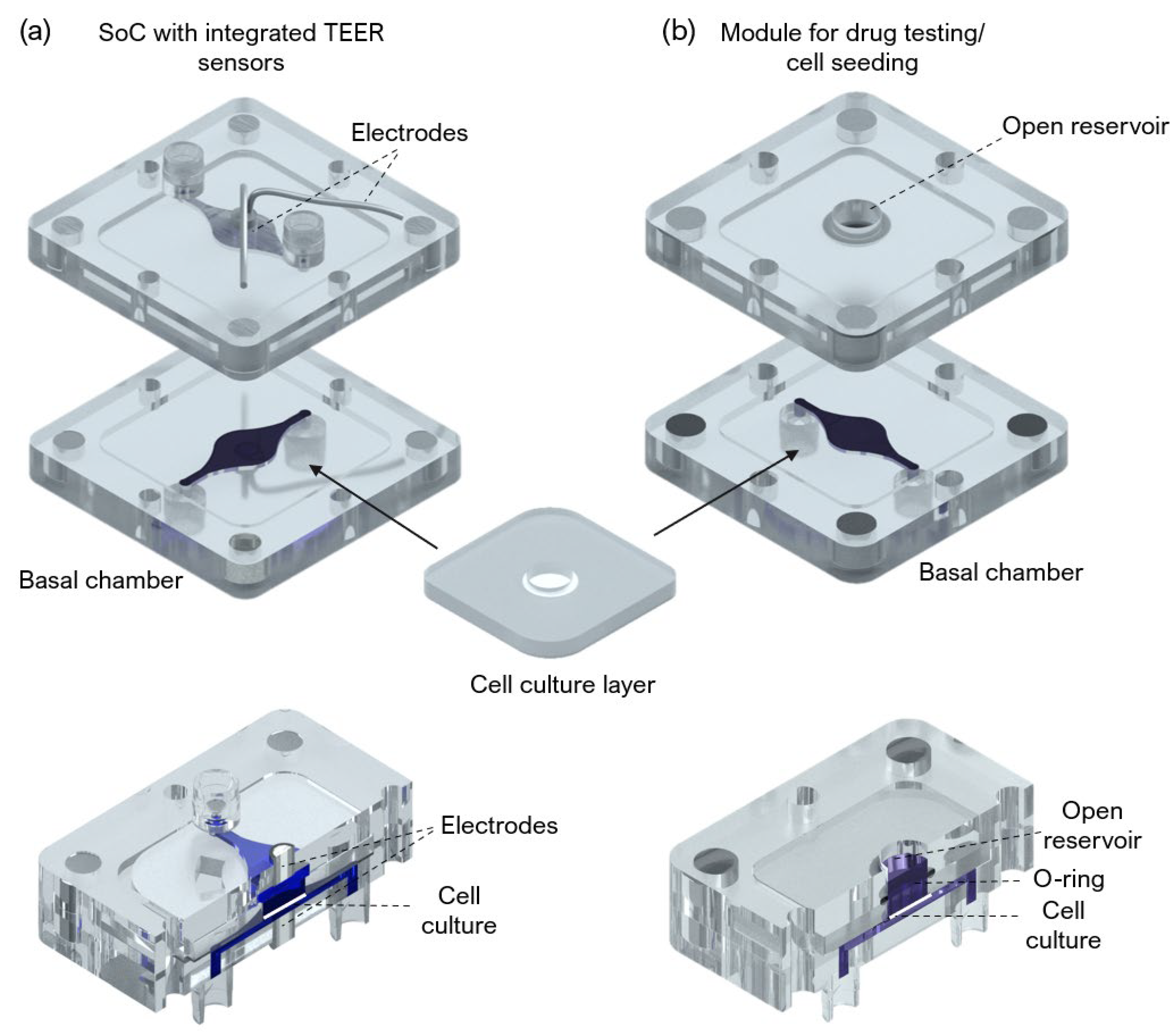 Micro 02 00013 g0a1 550