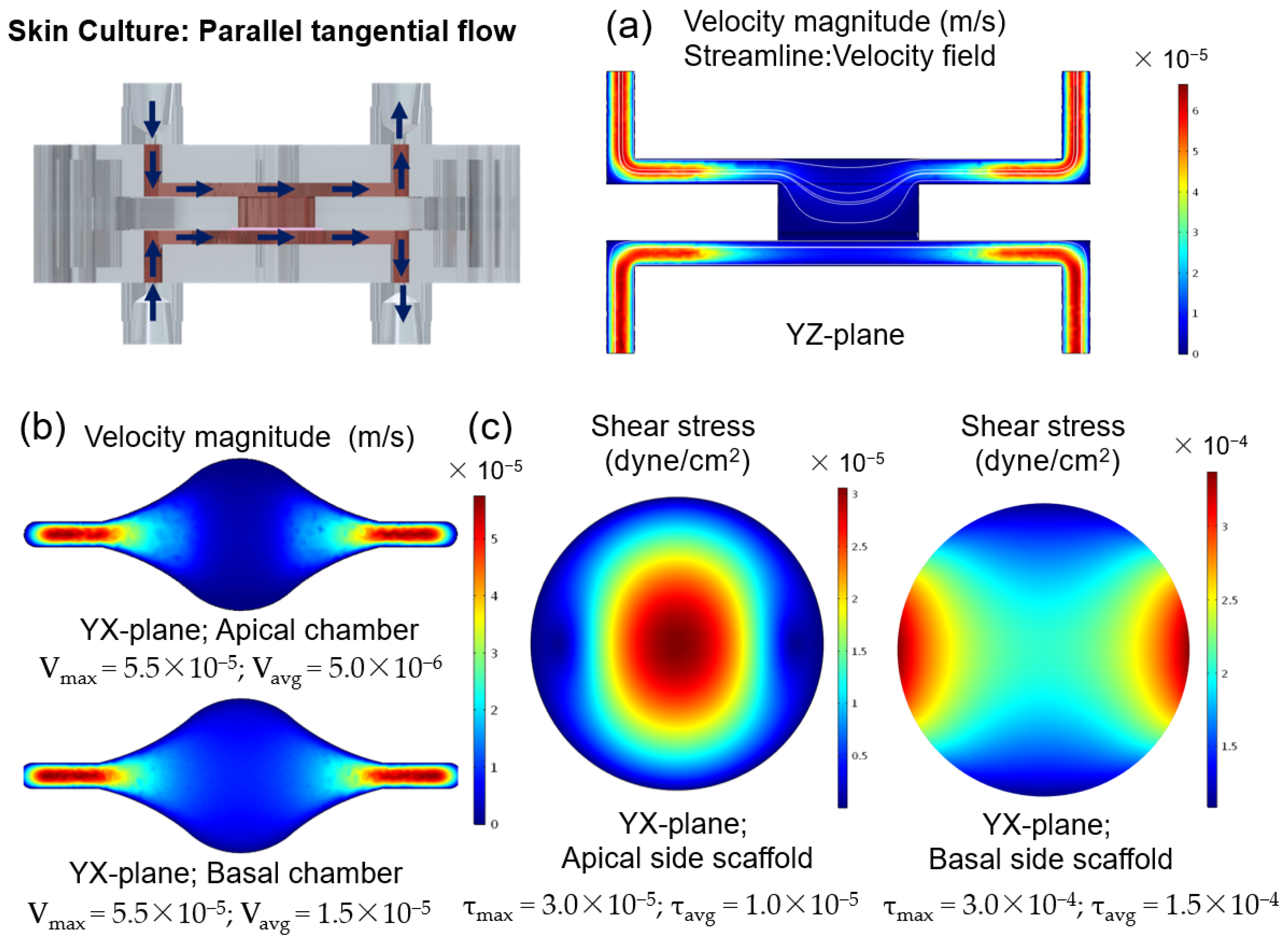 Micro 02 00013 g0a2 550