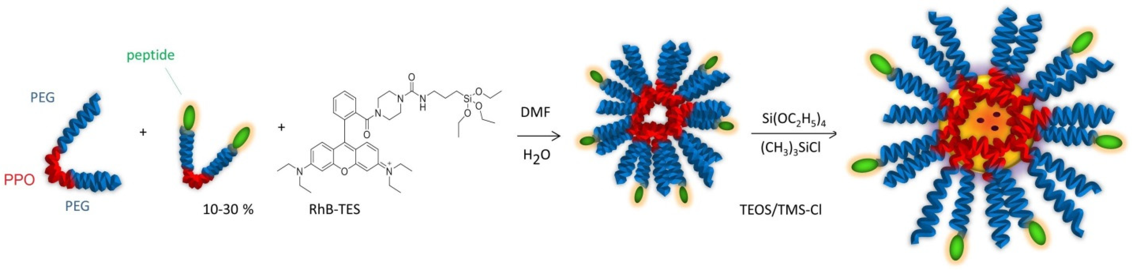 Micro 02 00016 g006 550