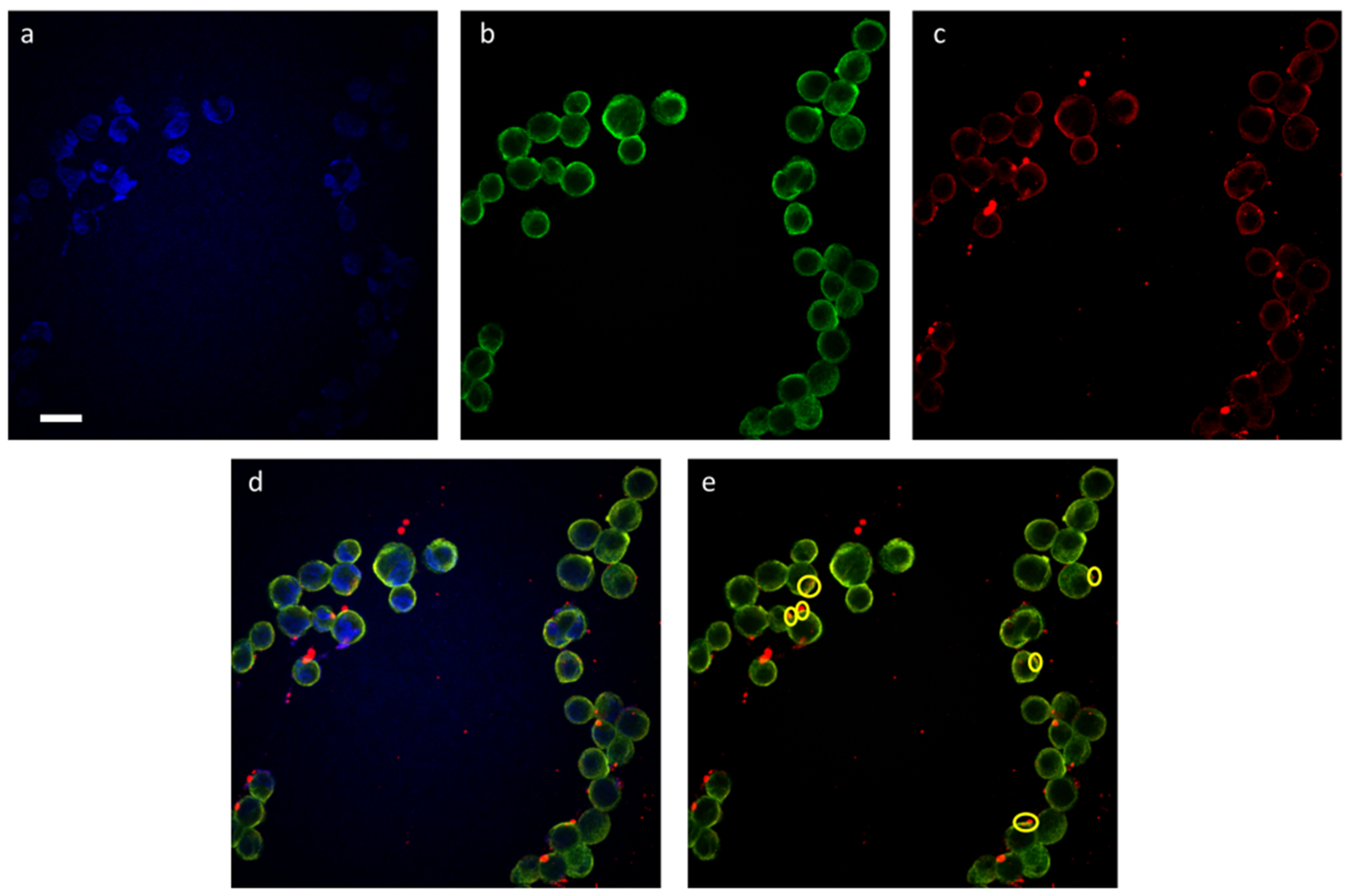 Micro 02 00016 g009 550