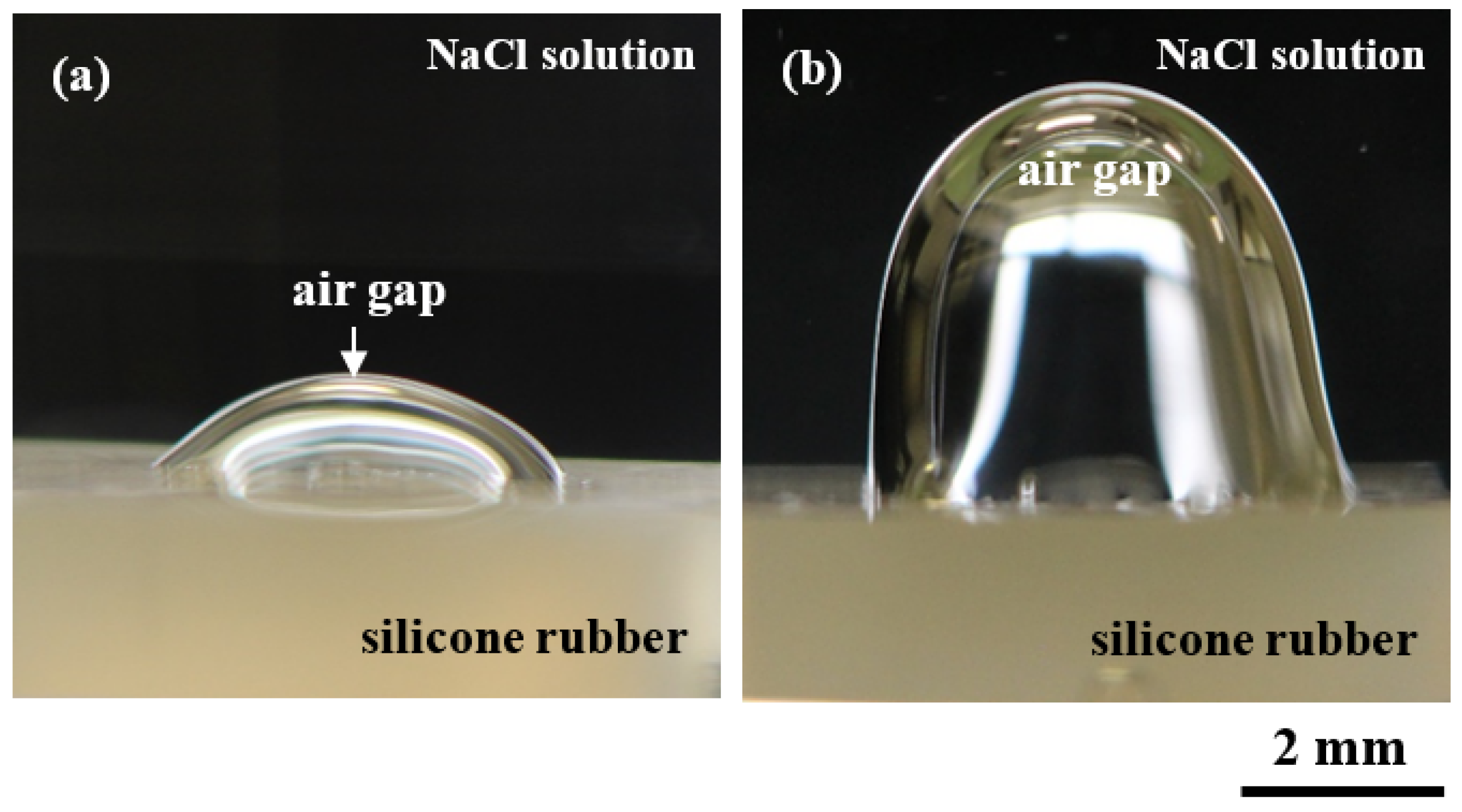 Micro 02 00030 g001 550