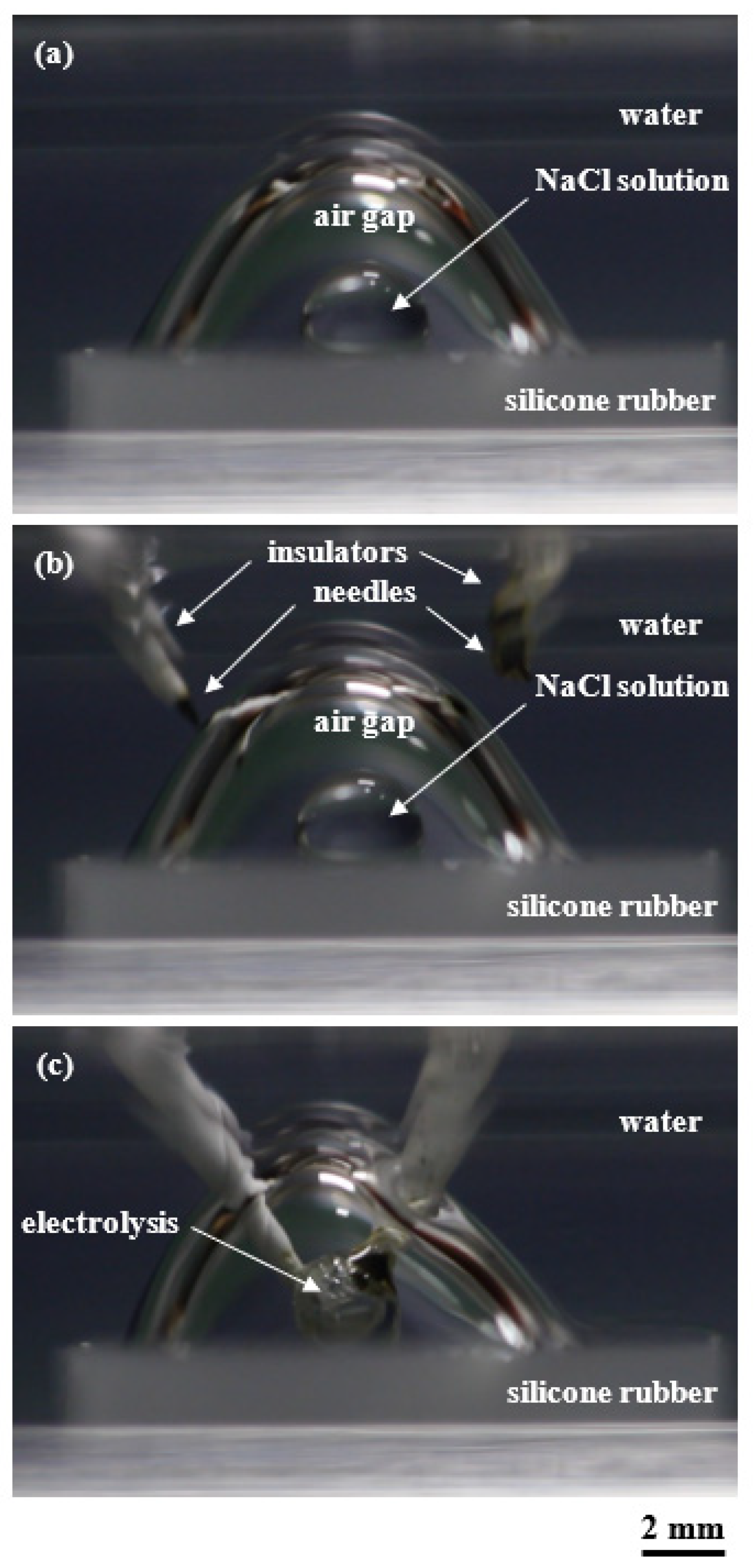 Micro 02 00030 g003 550