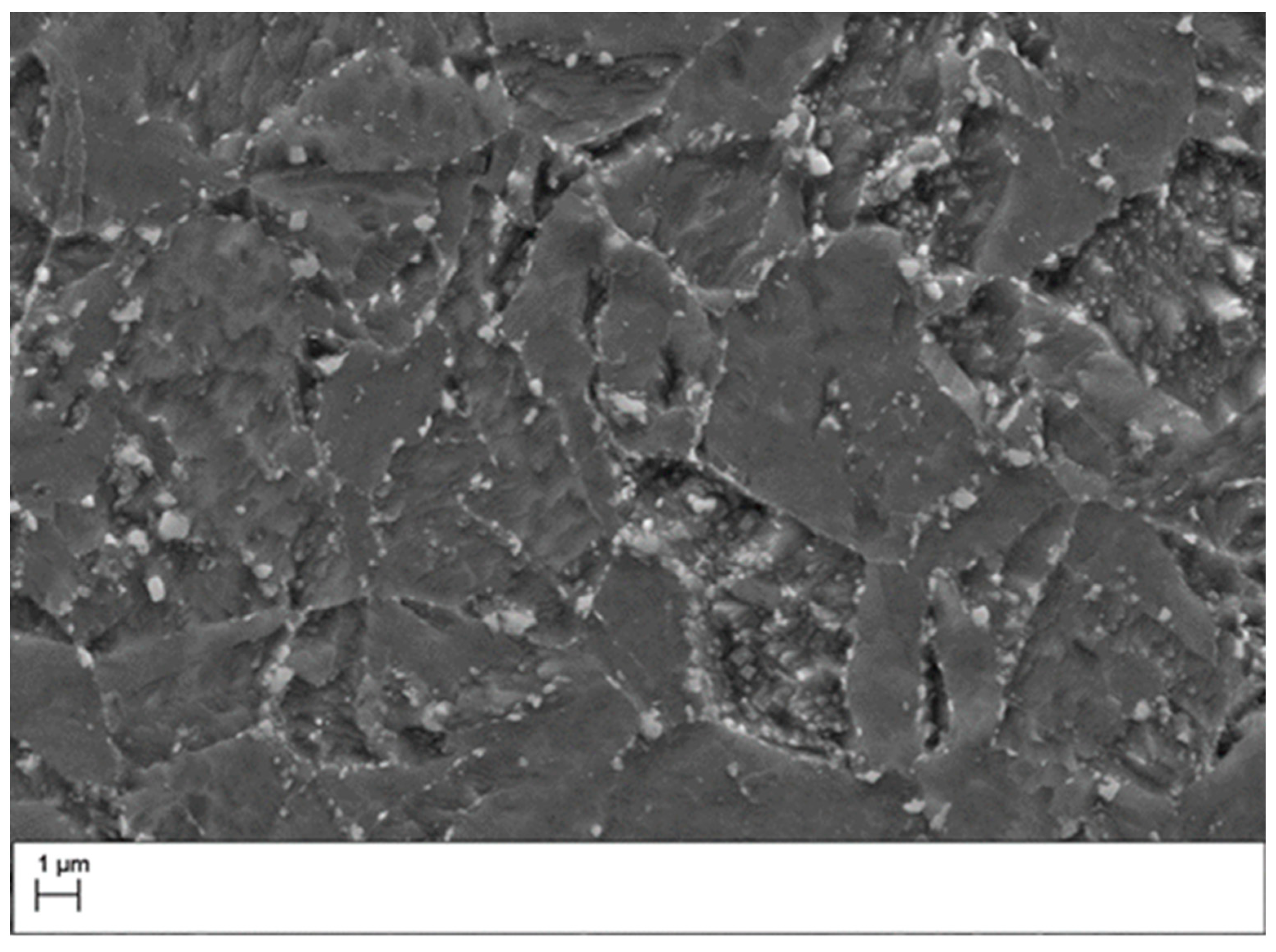 Micro 02 00040 g005 Micro 02 00040 g005