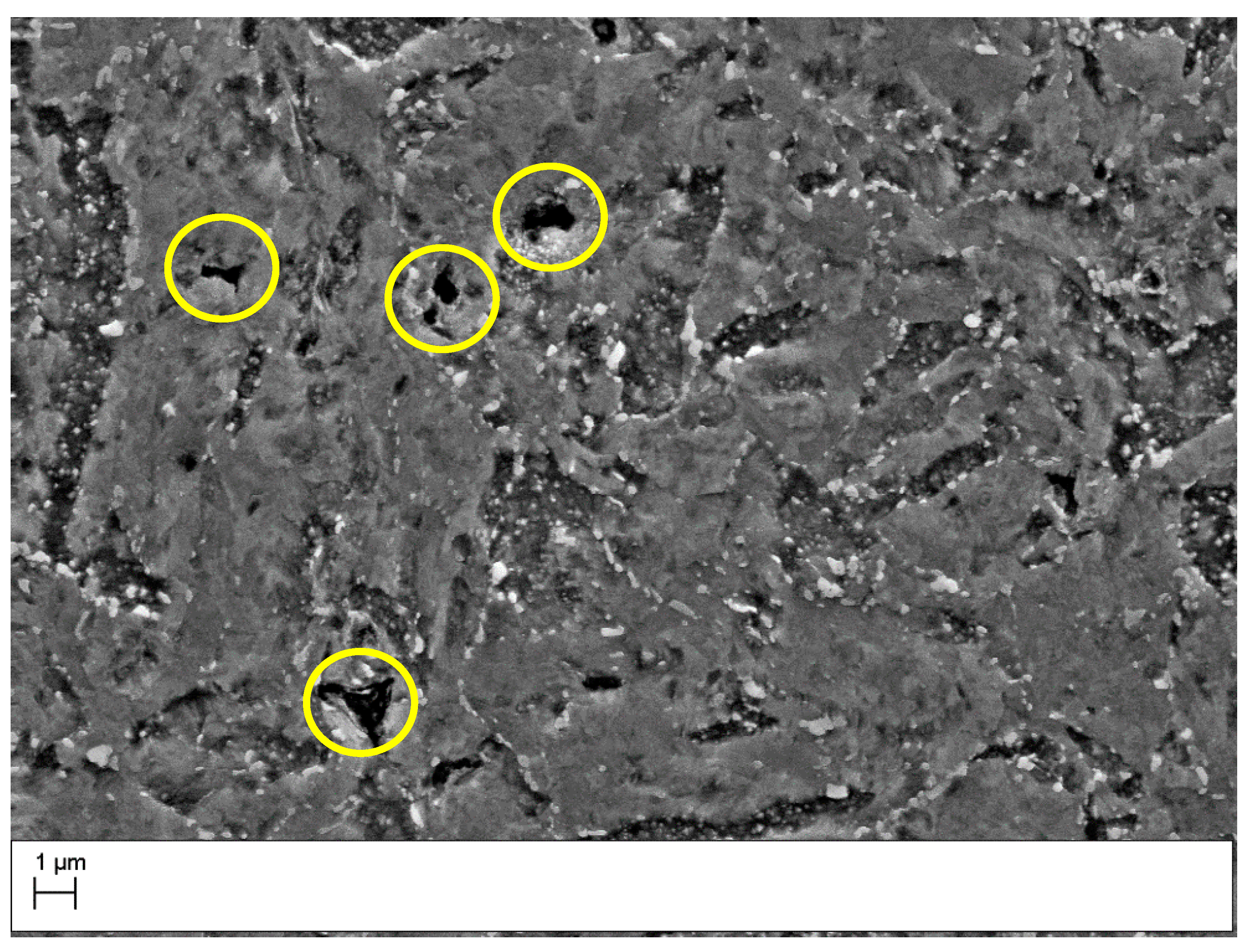 Micro 02 00040 g008 Micro 02 00040 g008