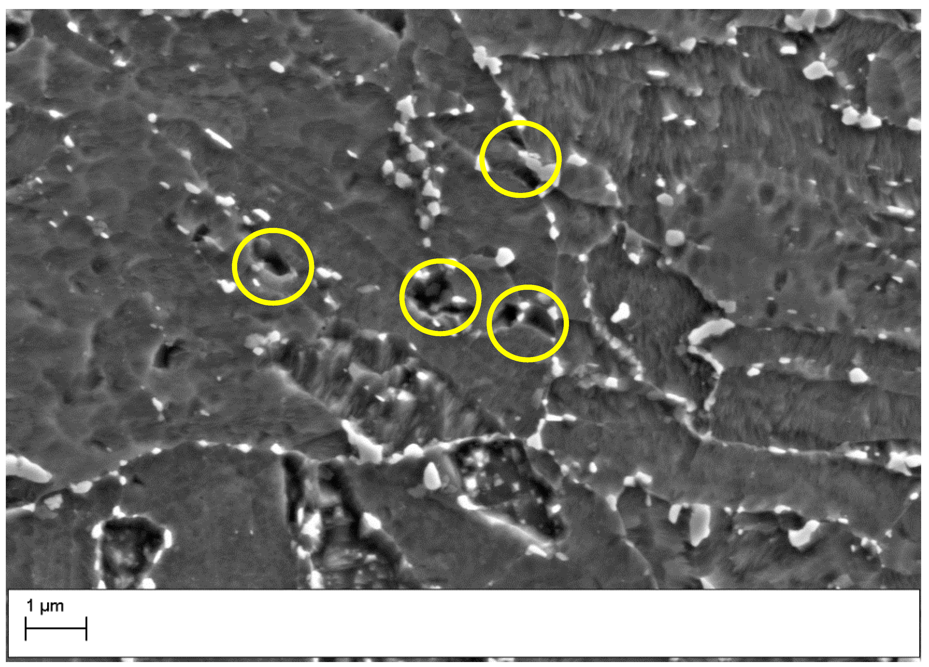 Micro 02 00040 g012 Micro 02 00040 g012