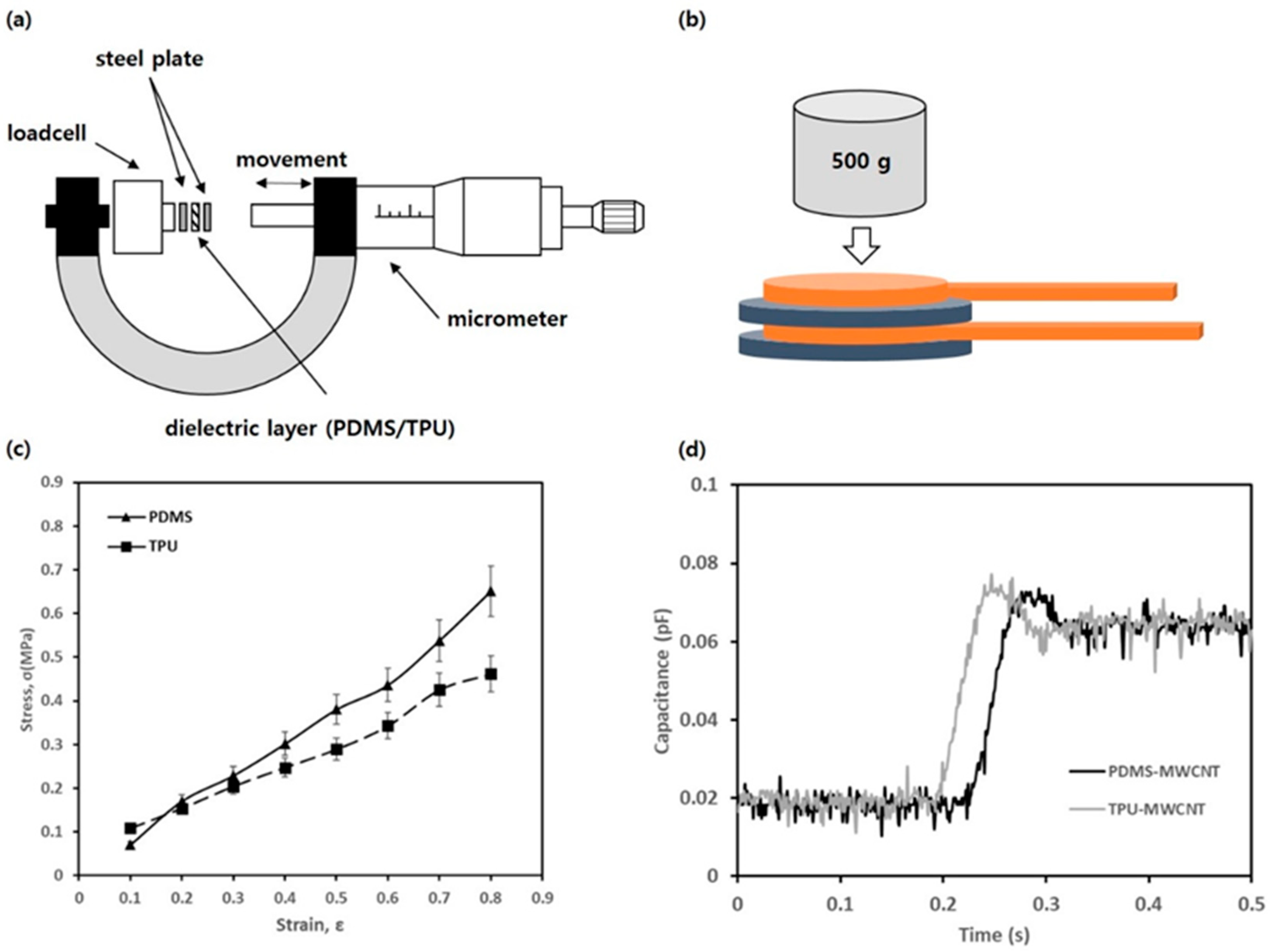 Micro 03 00004 g0a1 Micro 03 00004 g0a1