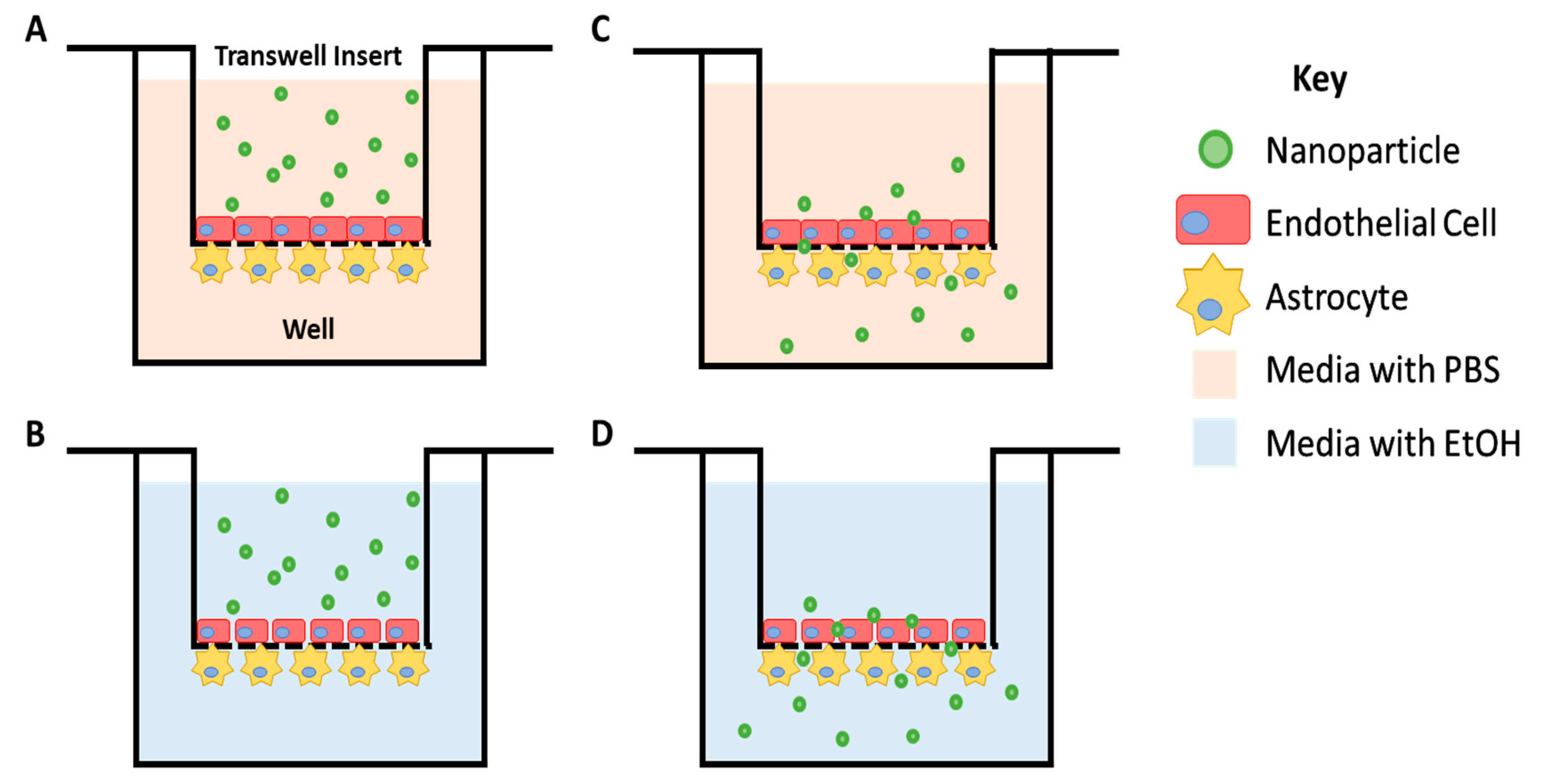 Micro 03 00008 g008 Micro 03 00008 g008