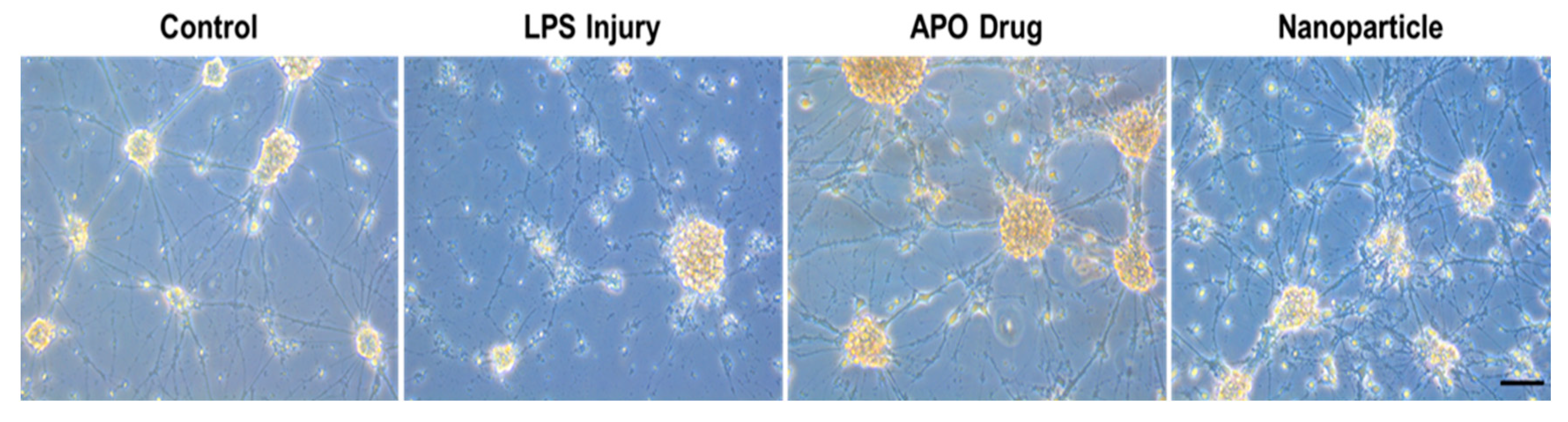 Micro 03 00008 g010 Micro 03 00008 g010