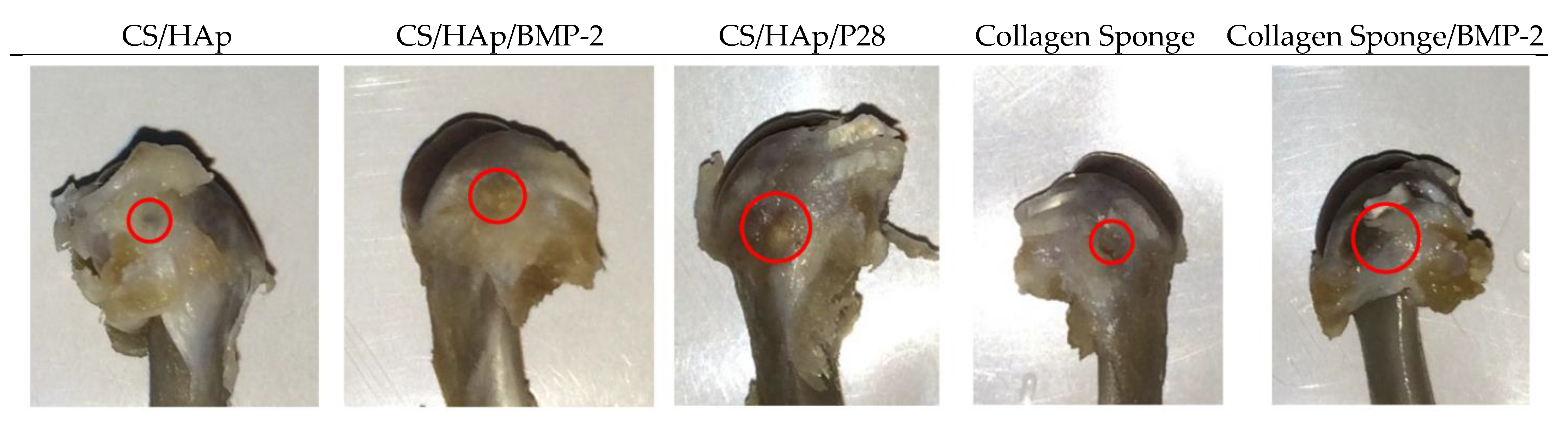 Micro 03 00010 g006 Micro 03 00010 g006