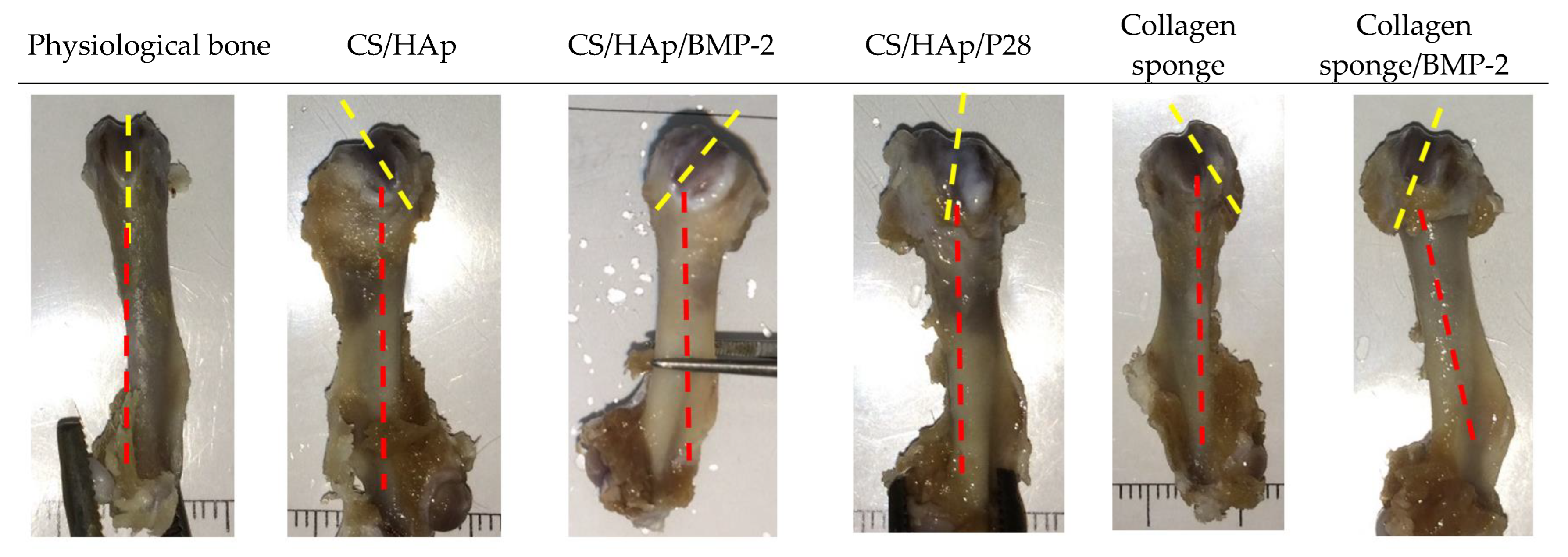 Micro 03 00010 g007 Micro 03 00010 g007
