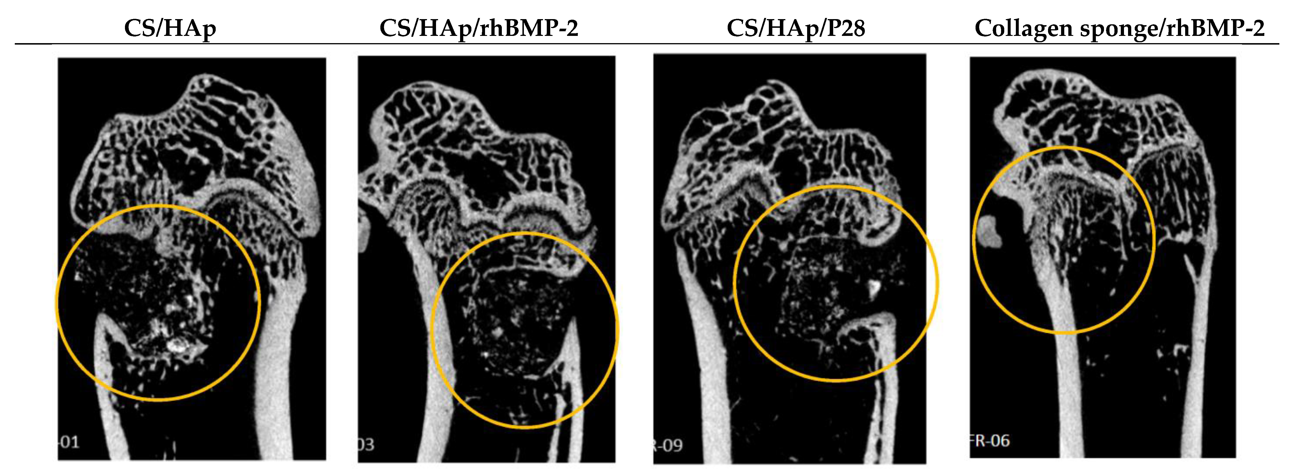 Micro 03 00010 g008 Micro 03 00010 g008