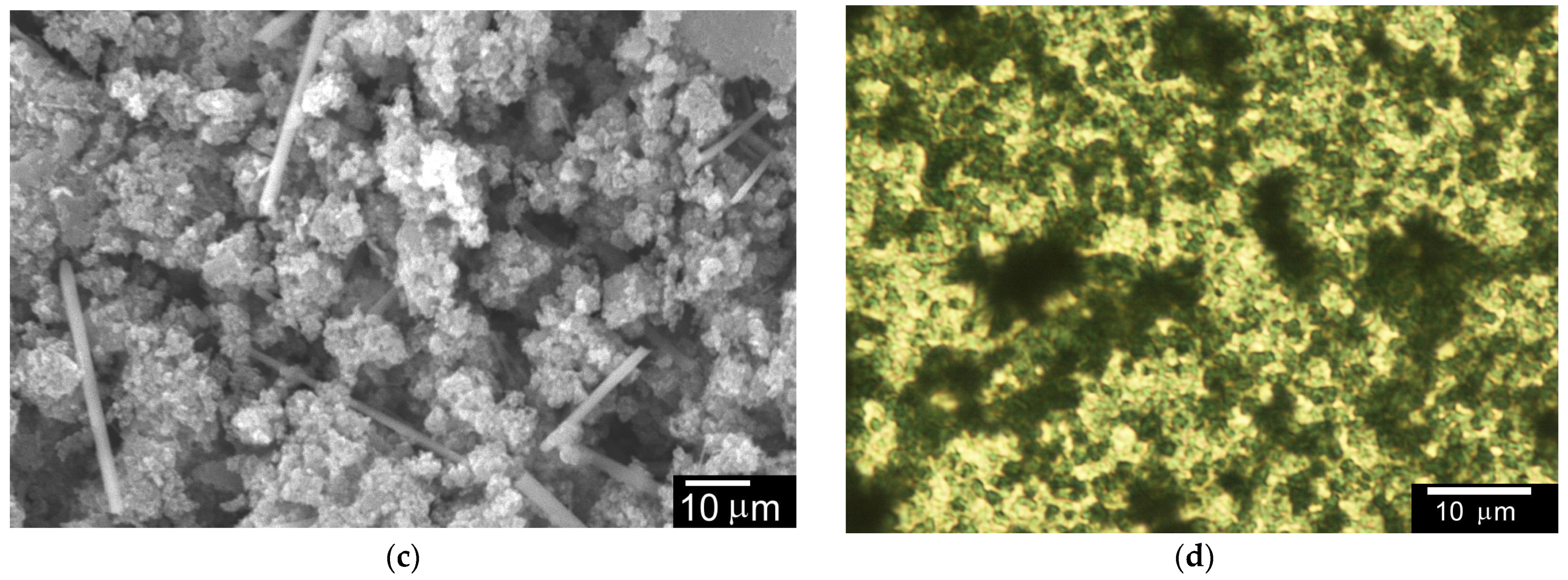 Micro 03 00013 g018b