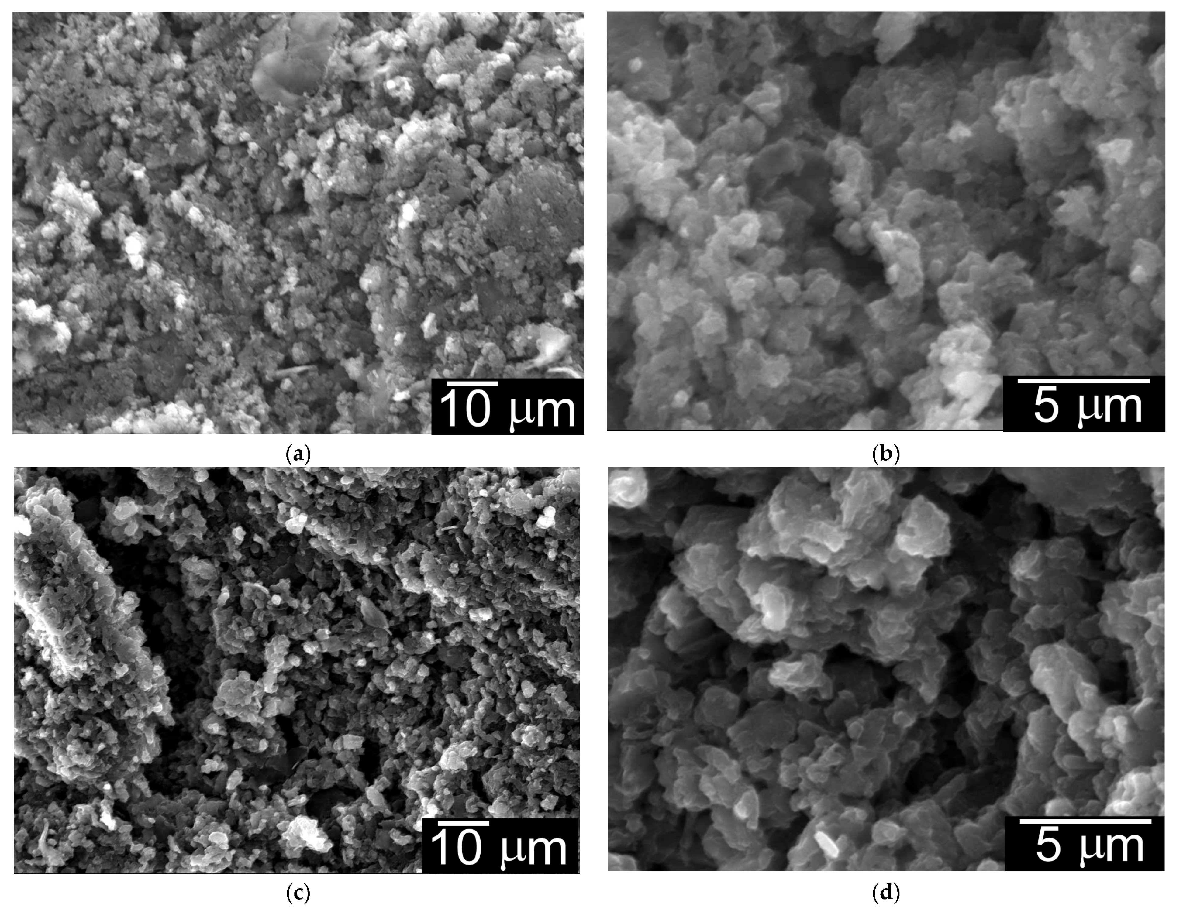 Micro 03 00013 g019a