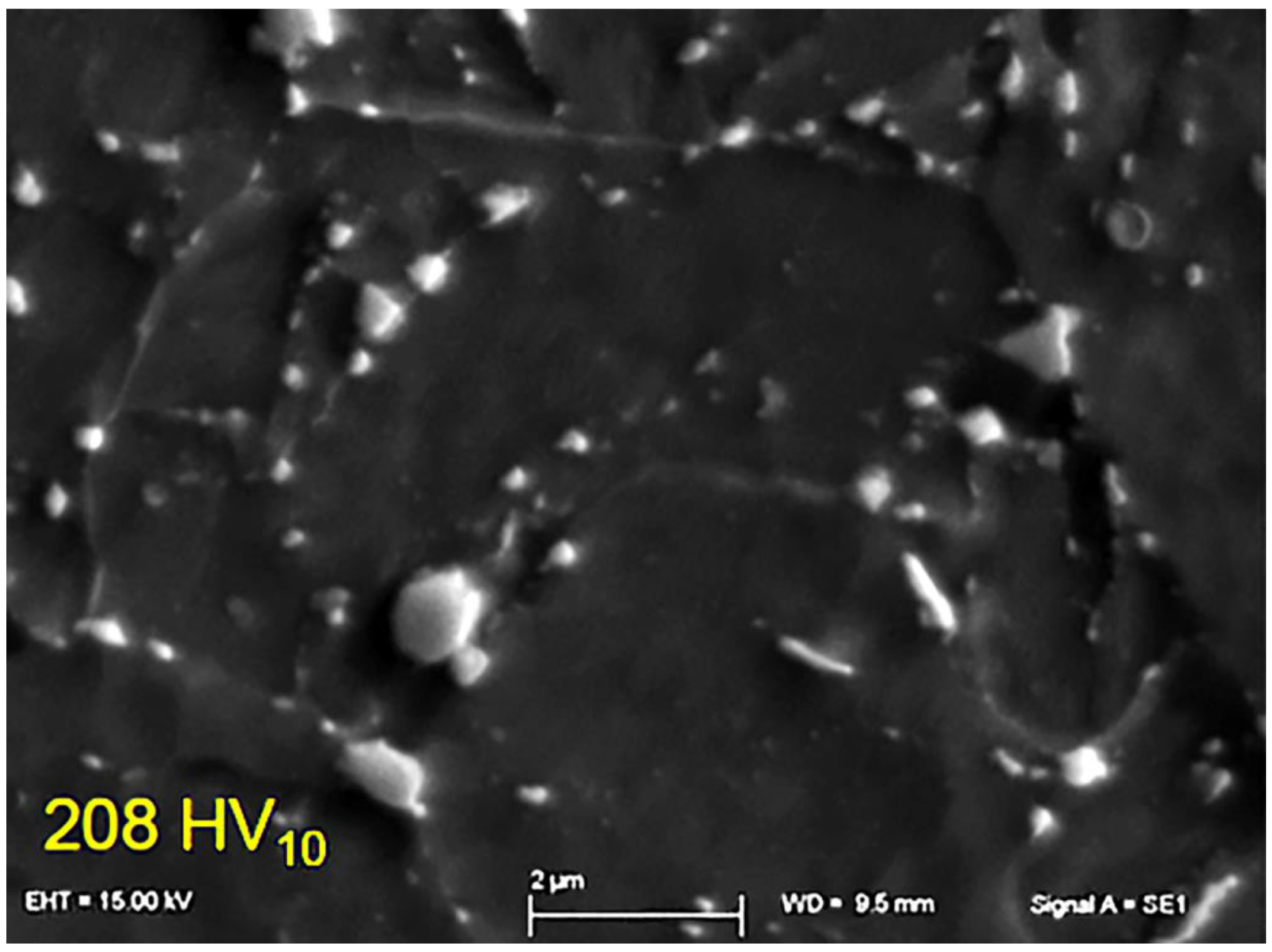 Micro 03 00020 g002 Micro 03 00020 g002