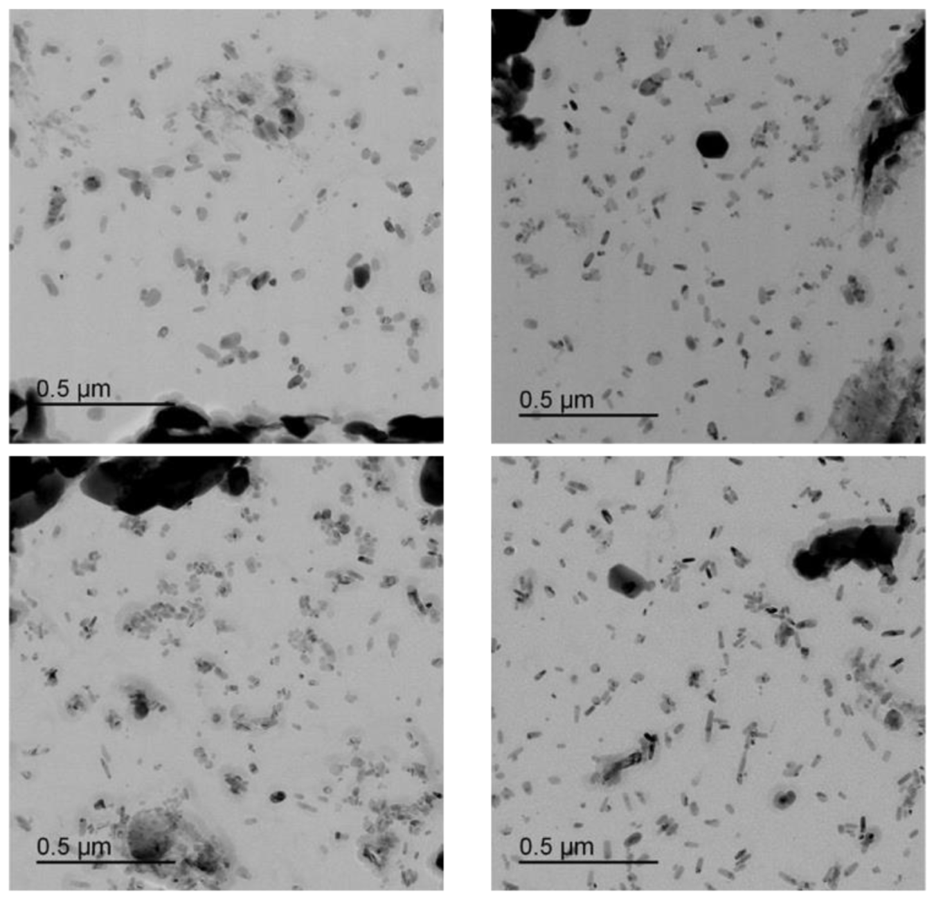 Micro 03 00020 g007 Micro 03 00020 g007