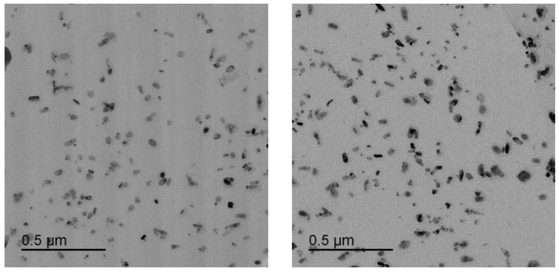 Micro 03 00020 g012 Micro 03 00020 g012