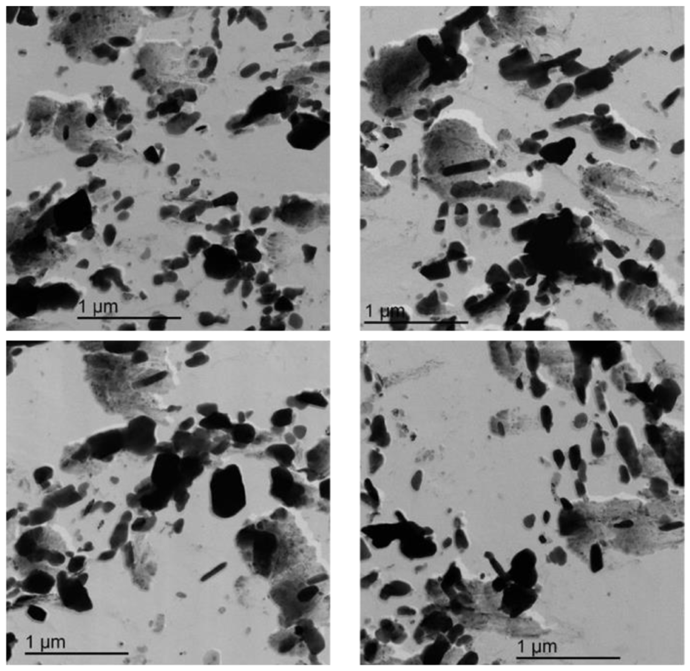 Micro 03 00020 g016 Micro 03 00020 g016