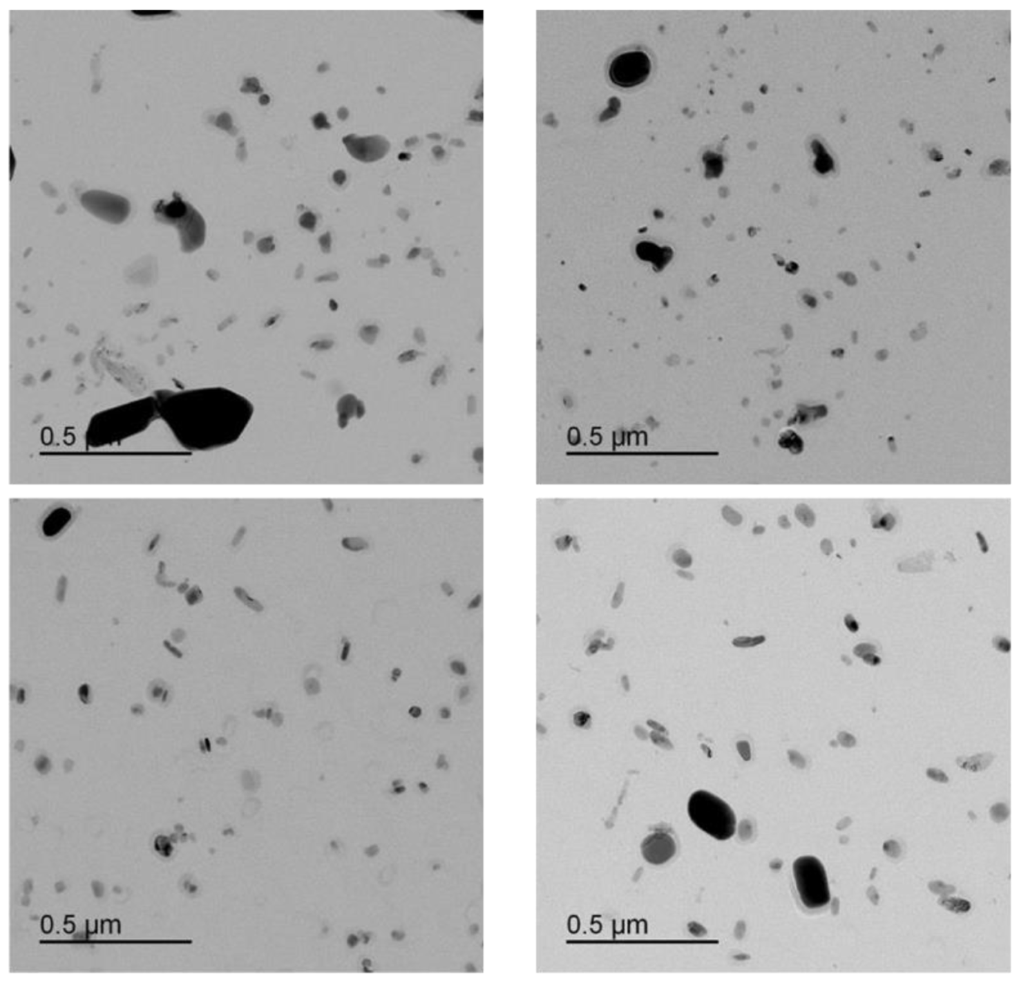 Micro 03 00020 g0a10 Micro 03 00020 g0a10