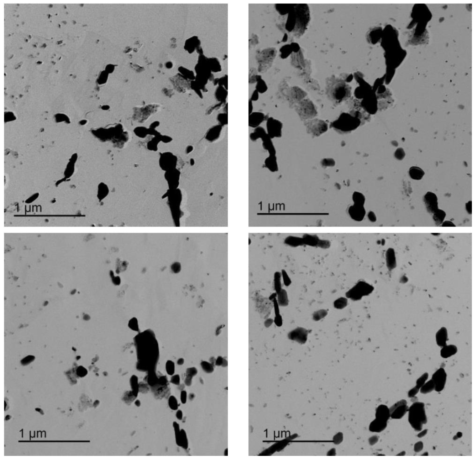 Micro 03 00020 g0a4 Micro 03 00020 g0a4