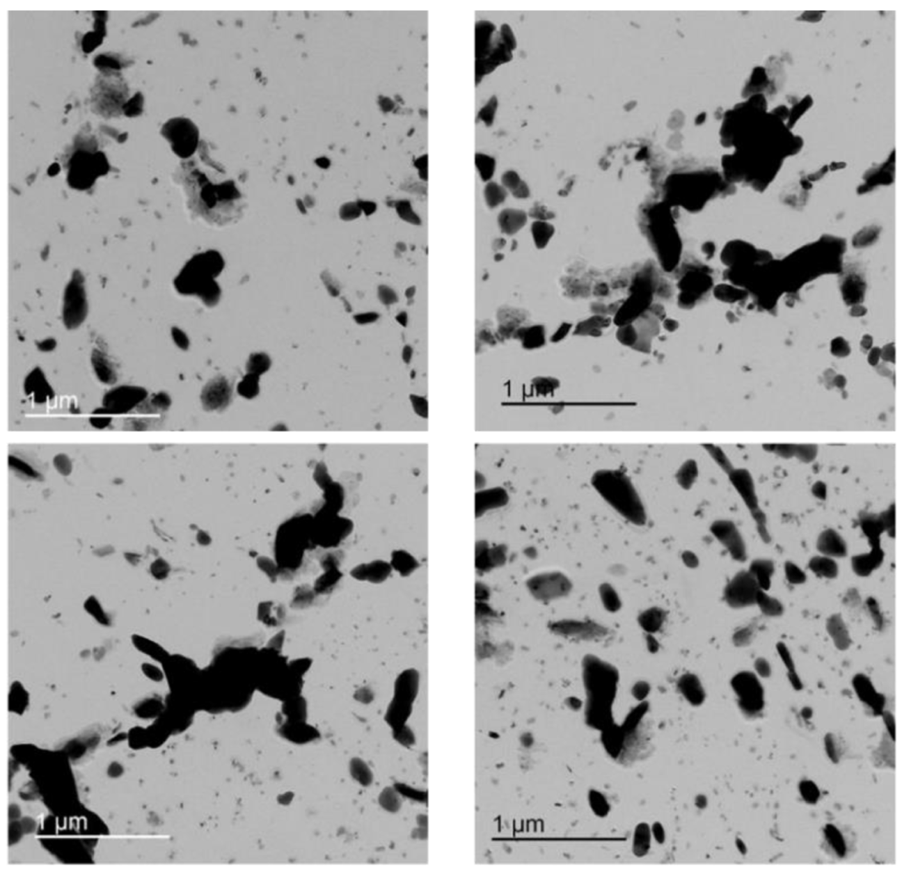 Micro 03 00020 g0a9 Micro 03 00020 g0a9