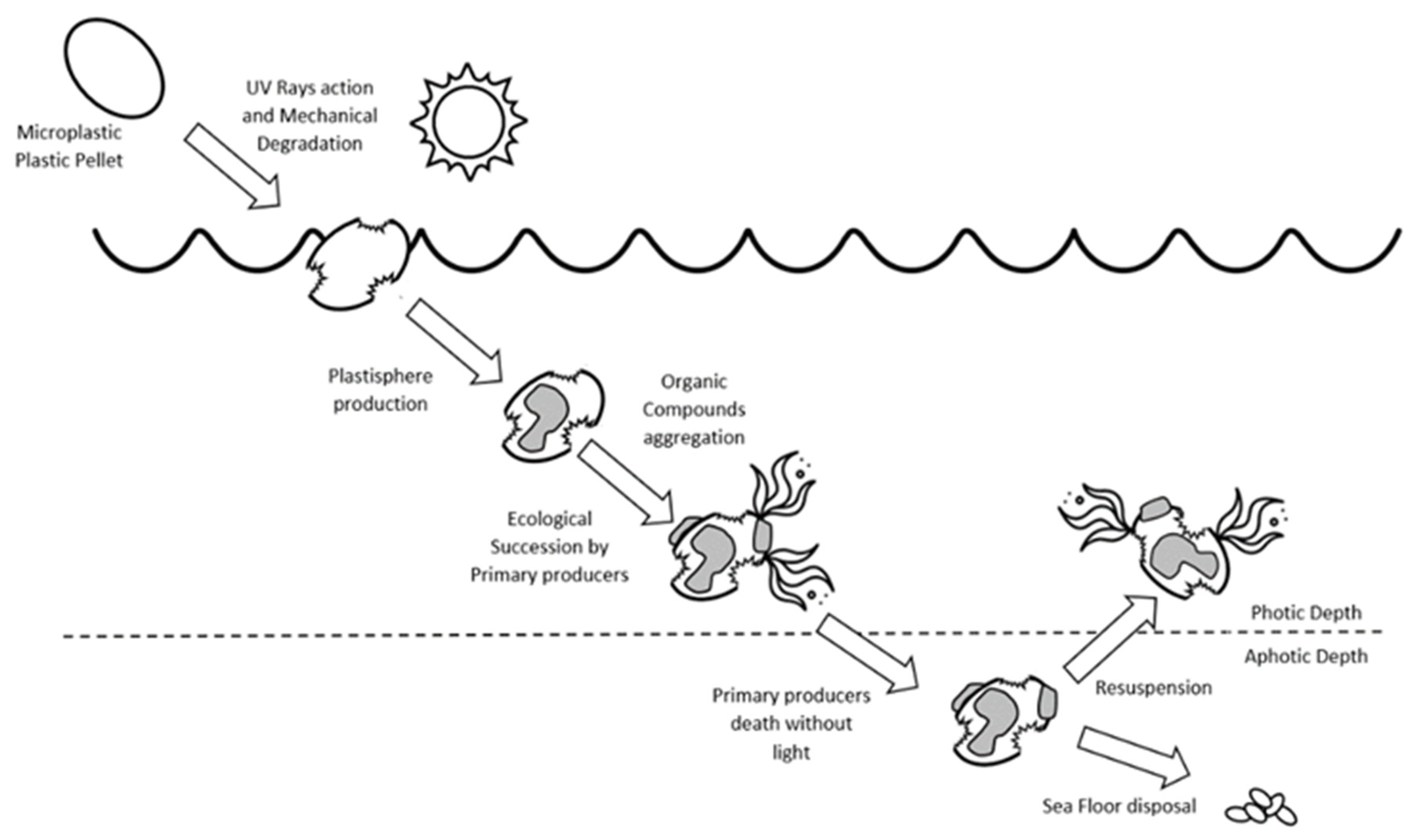 Micro 03 00022 g003 Micro 03 00022 g003