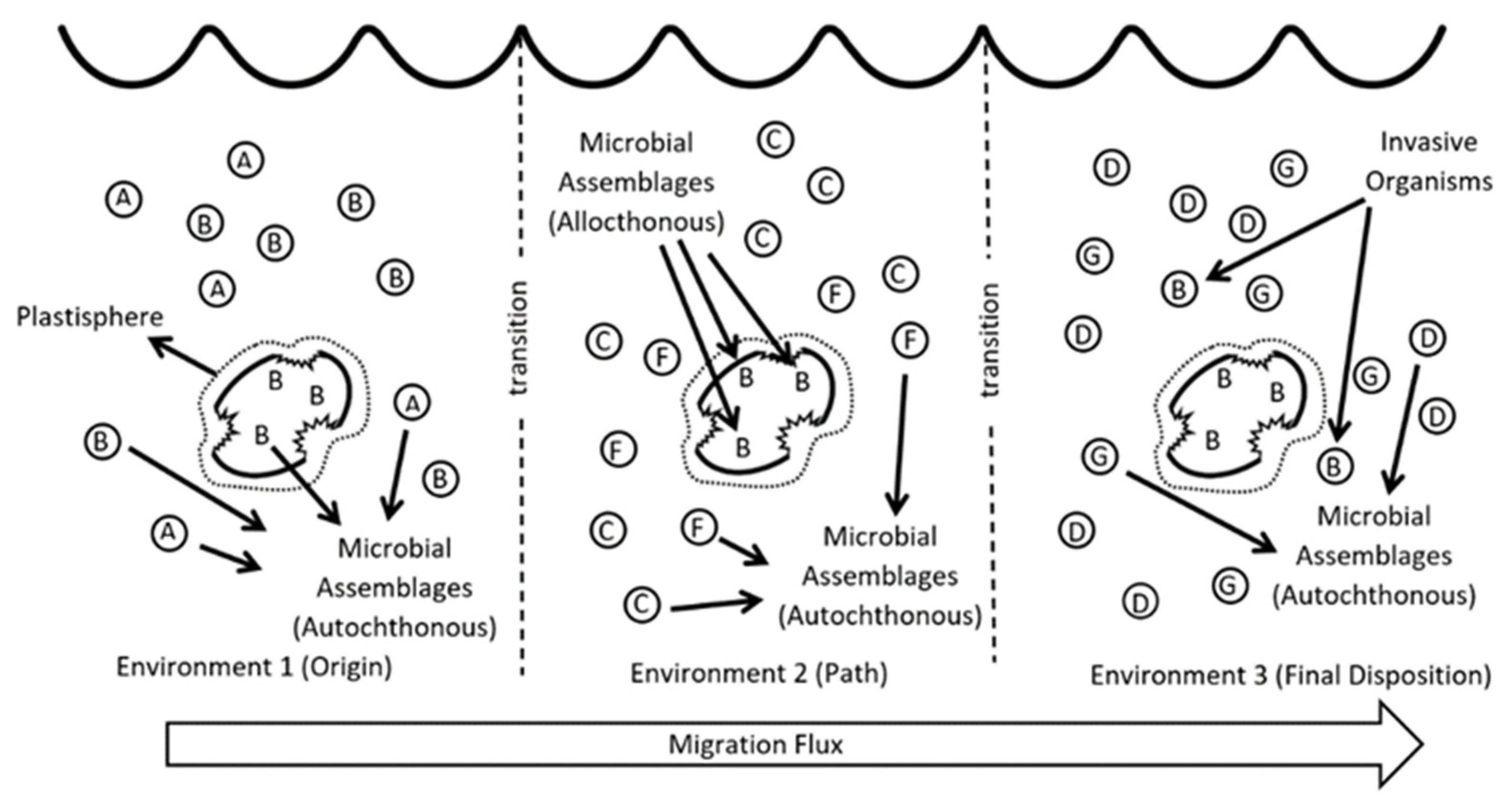 Micro 03 00022 g004 Micro 03 00022 g004