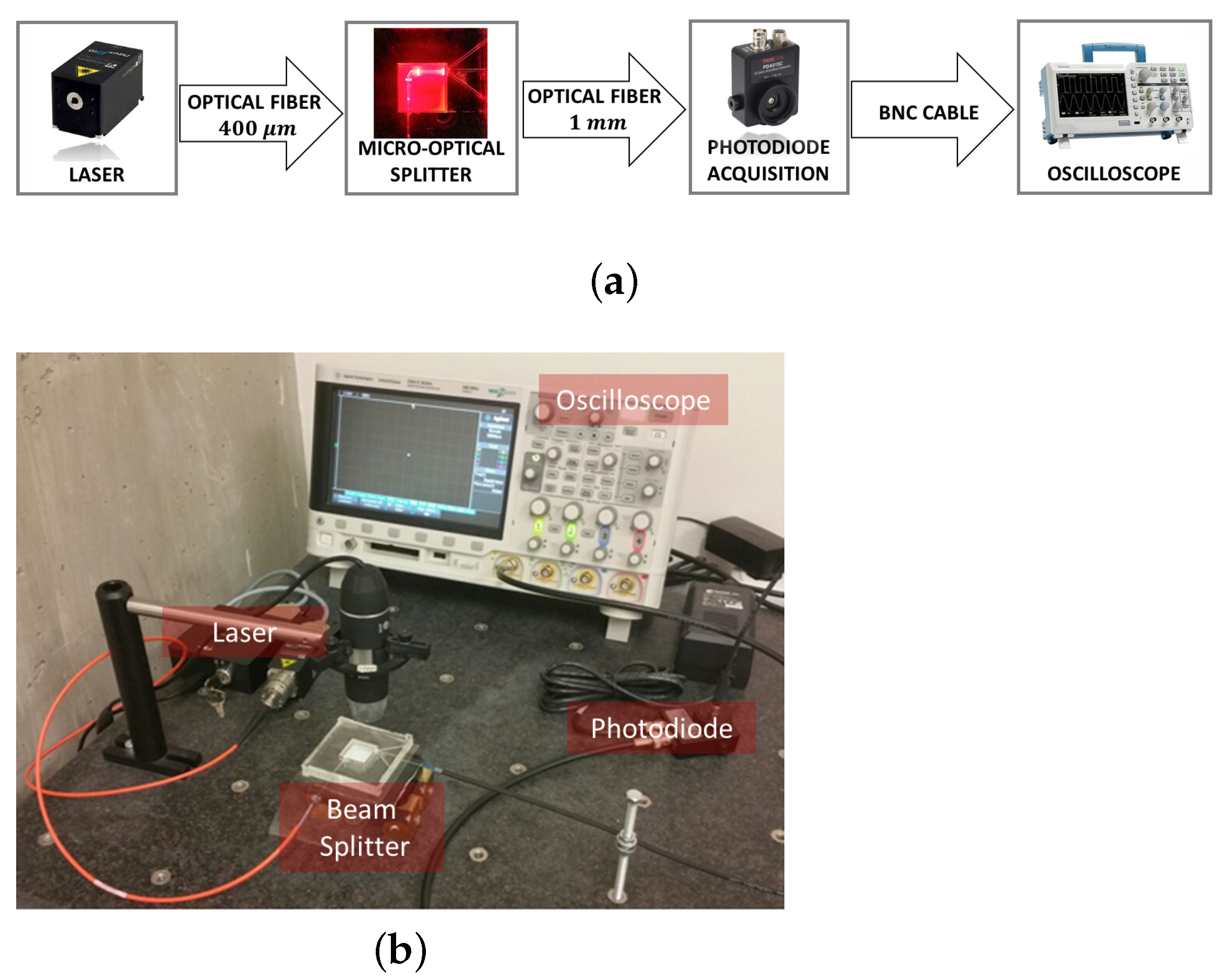 Micro 03 00023 g006 Micro 03 00023 g006