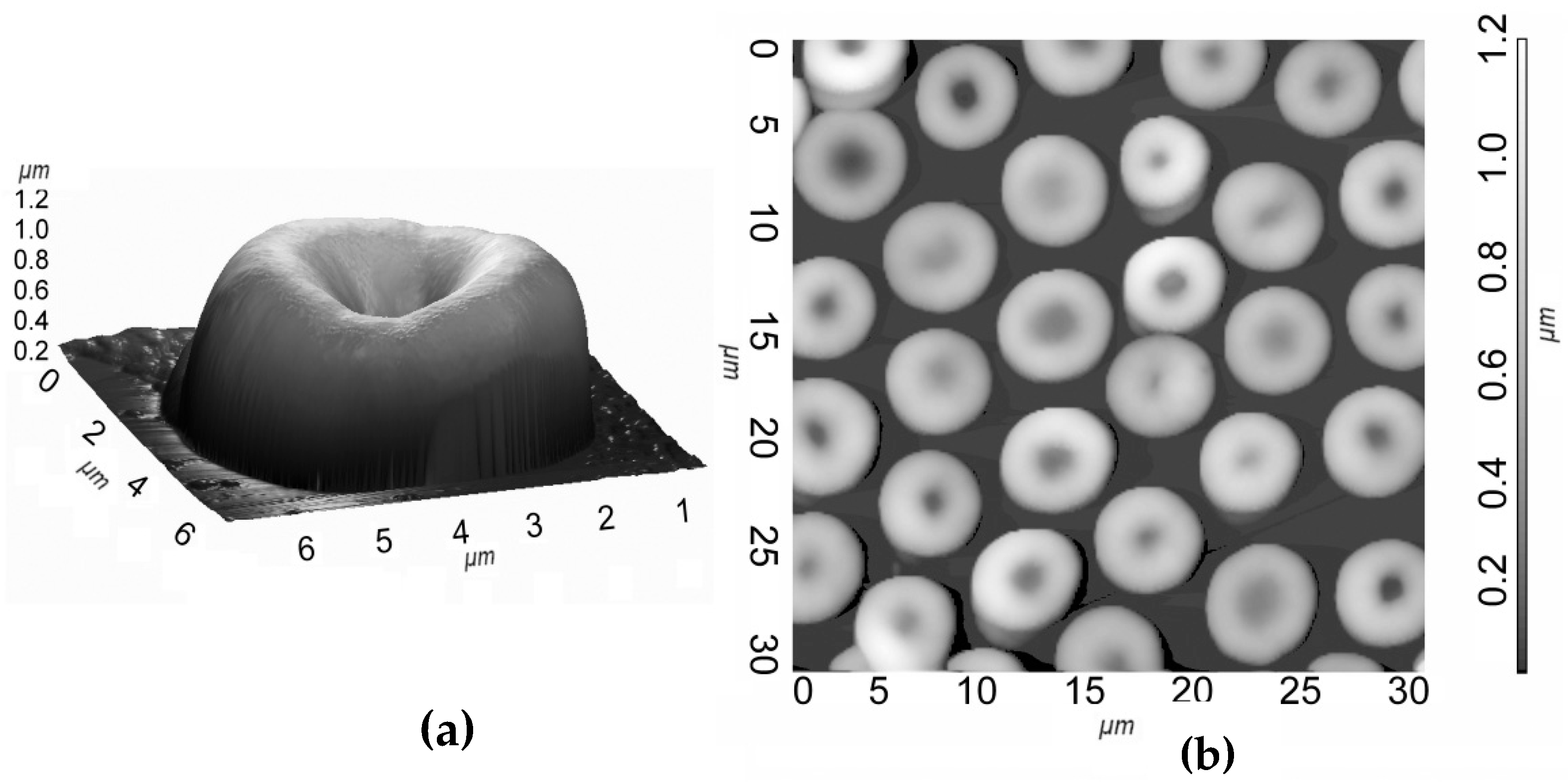 Micro 03 00026 g001 Micro 03 00026 g001