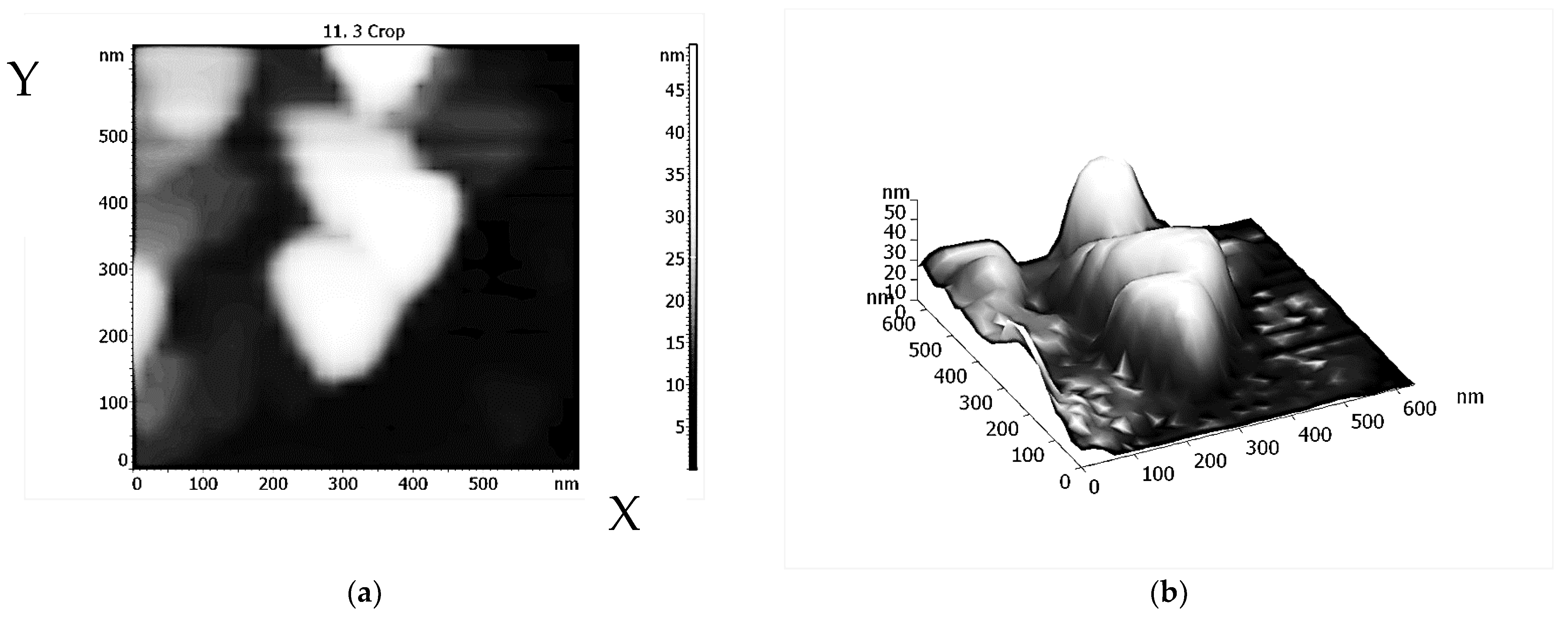 Micro 03 00026 g005 Micro 03 00026 g005