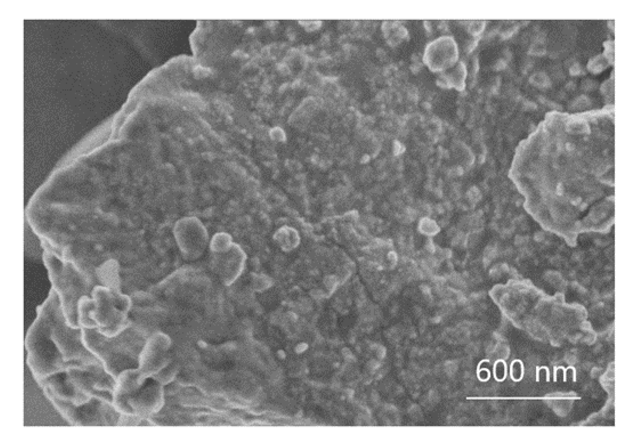 Micro 03 00030 g005 Micro 03 00030 g005