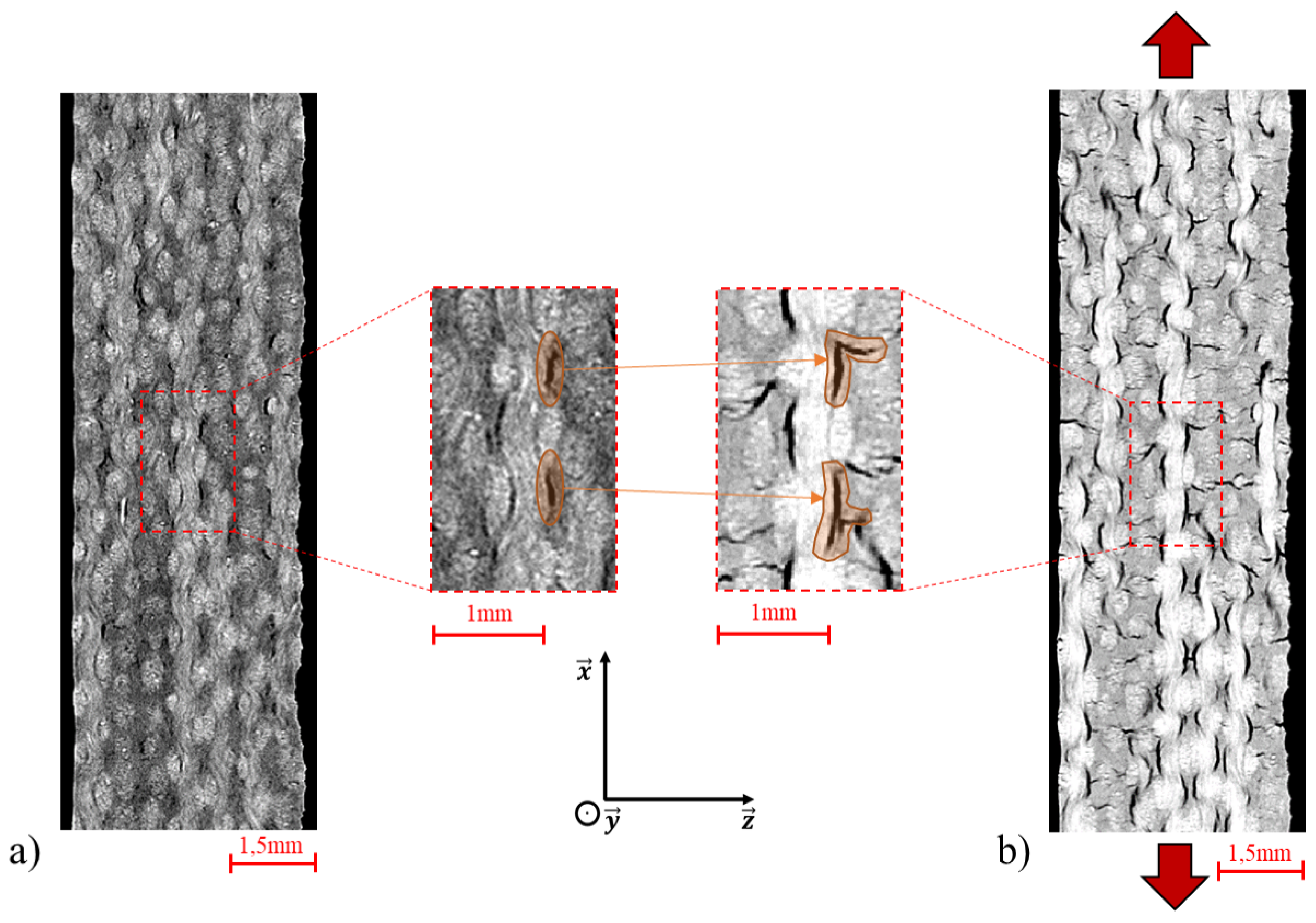 Micro 03 00033 g007 Micro 03 00033 g007