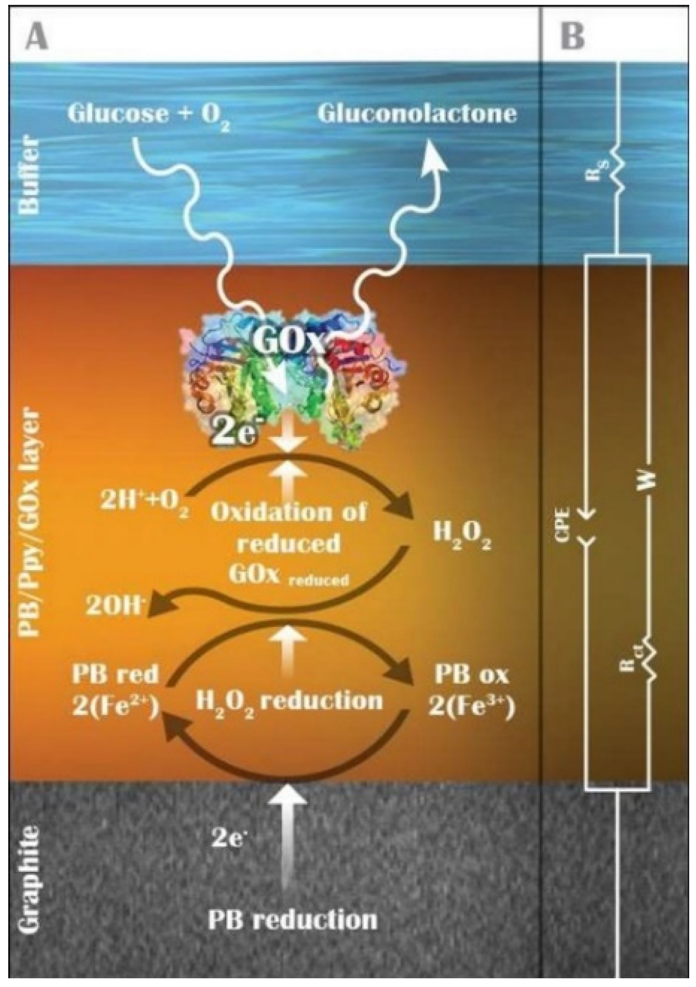 Micro 03 00035 g006 Micro 03 00035 g006