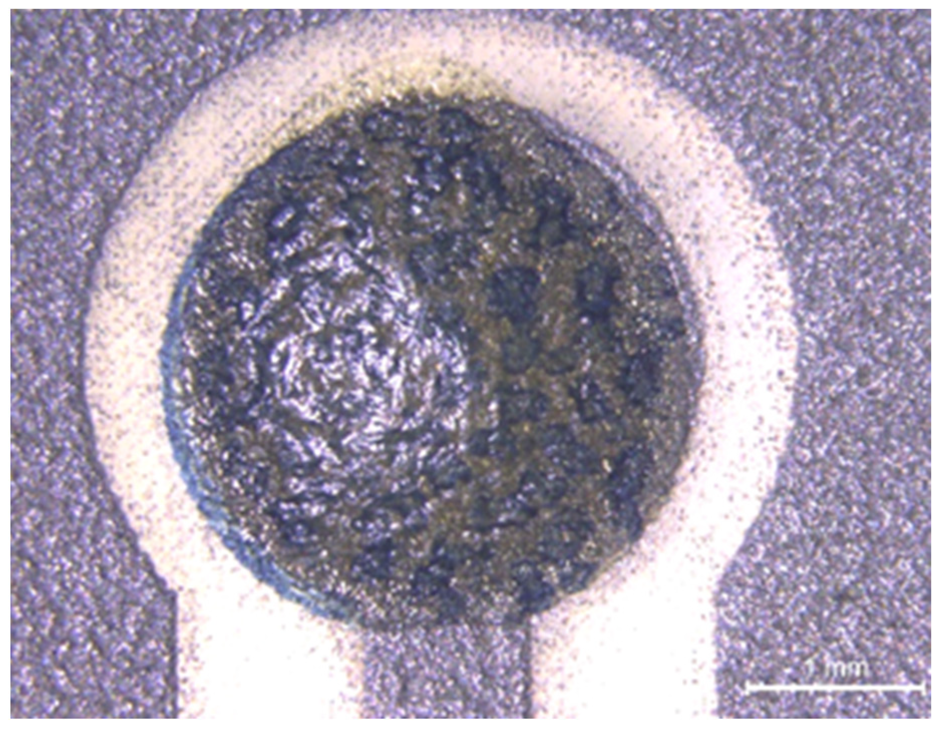 Micro 03 00035 g008 Micro 03 00035 g008