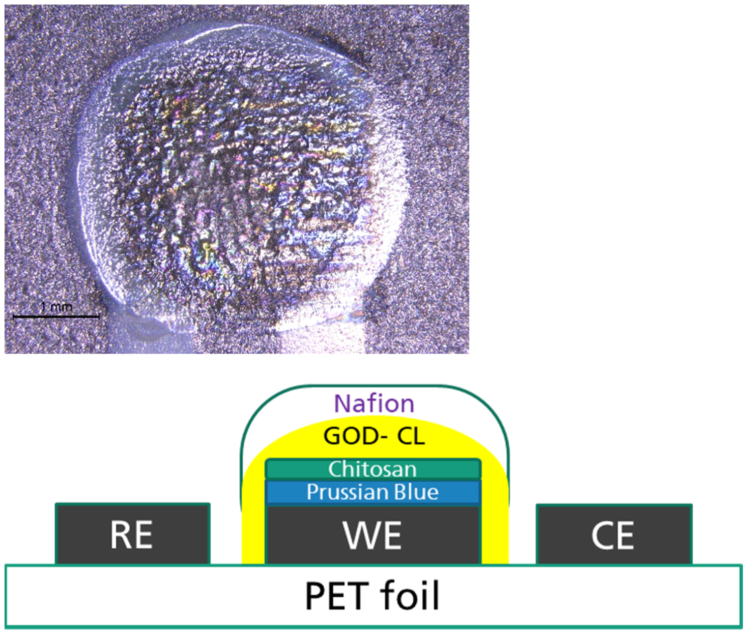 Micro 03 00035 g009 Micro 03 00035 g009