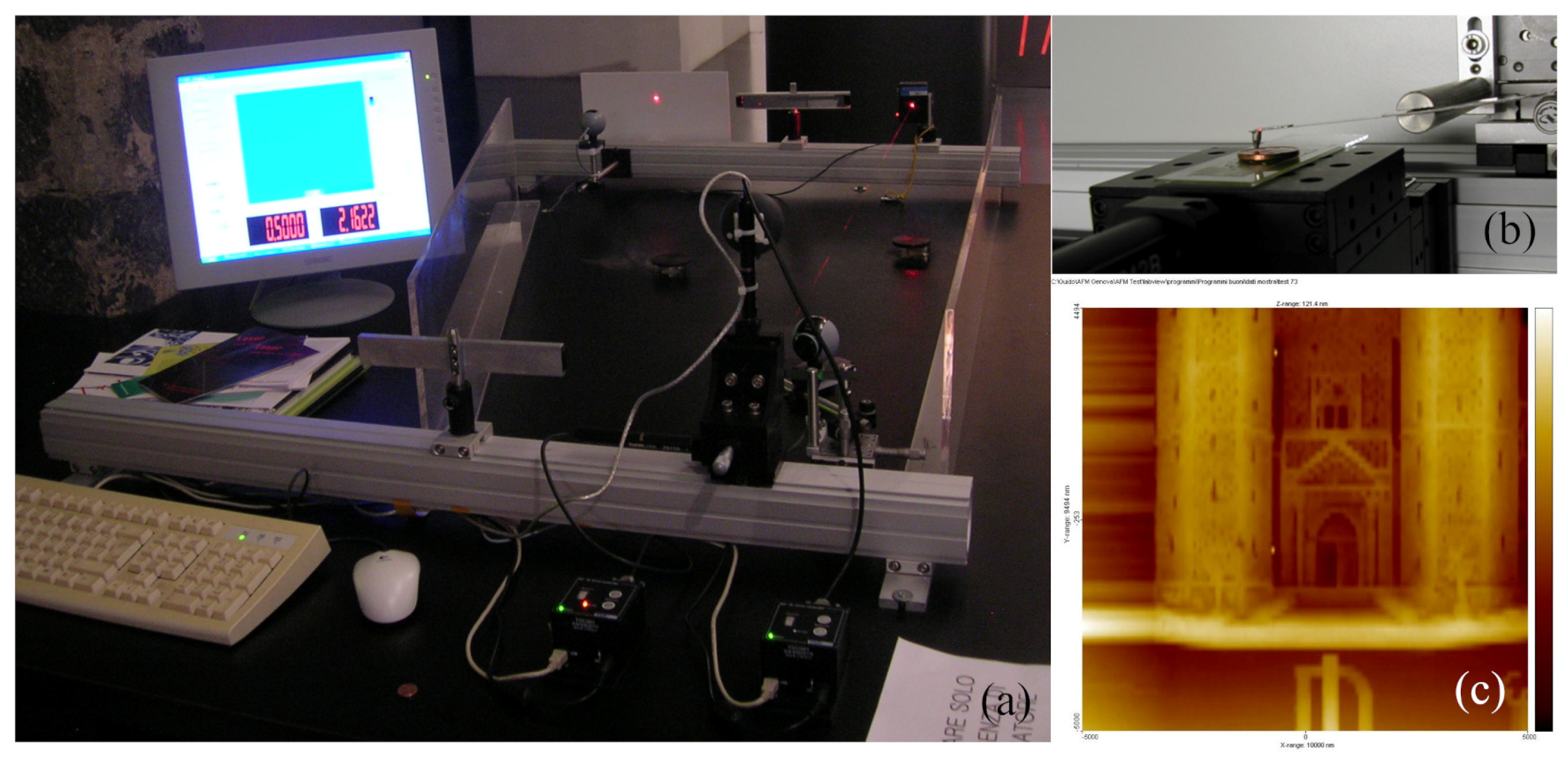 Micro 03 00037 g006 Micro 03 00037 g006