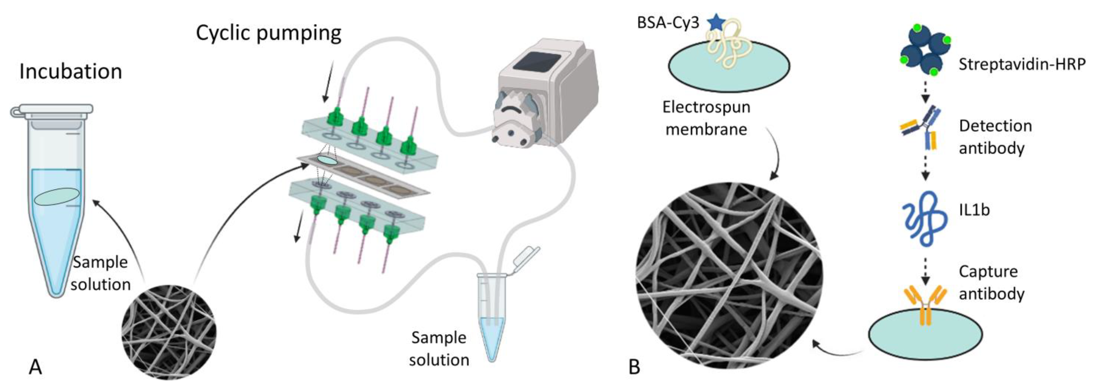Micro 03 00038 g002 Micro 03 00038 g002