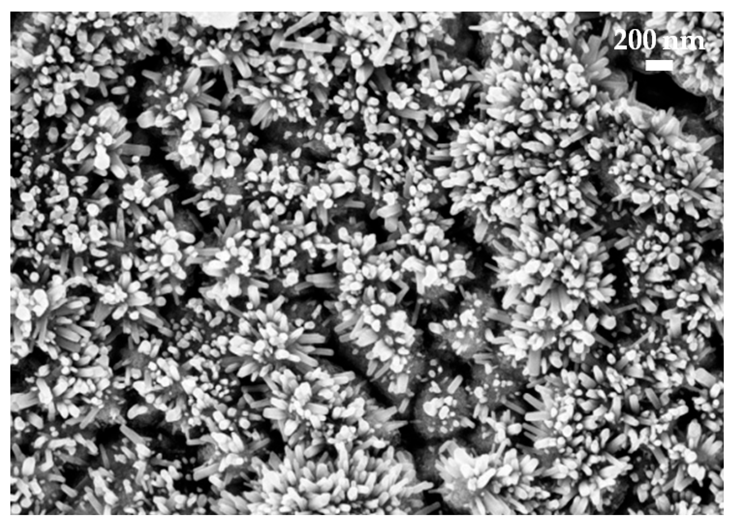 Micro 03 00040 g003 Micro 03 00040 g003