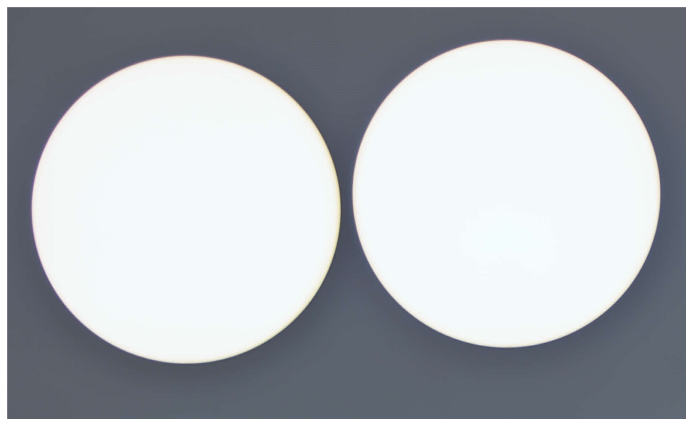 Micro 04 00010 g007 Micro 04 00010 g007