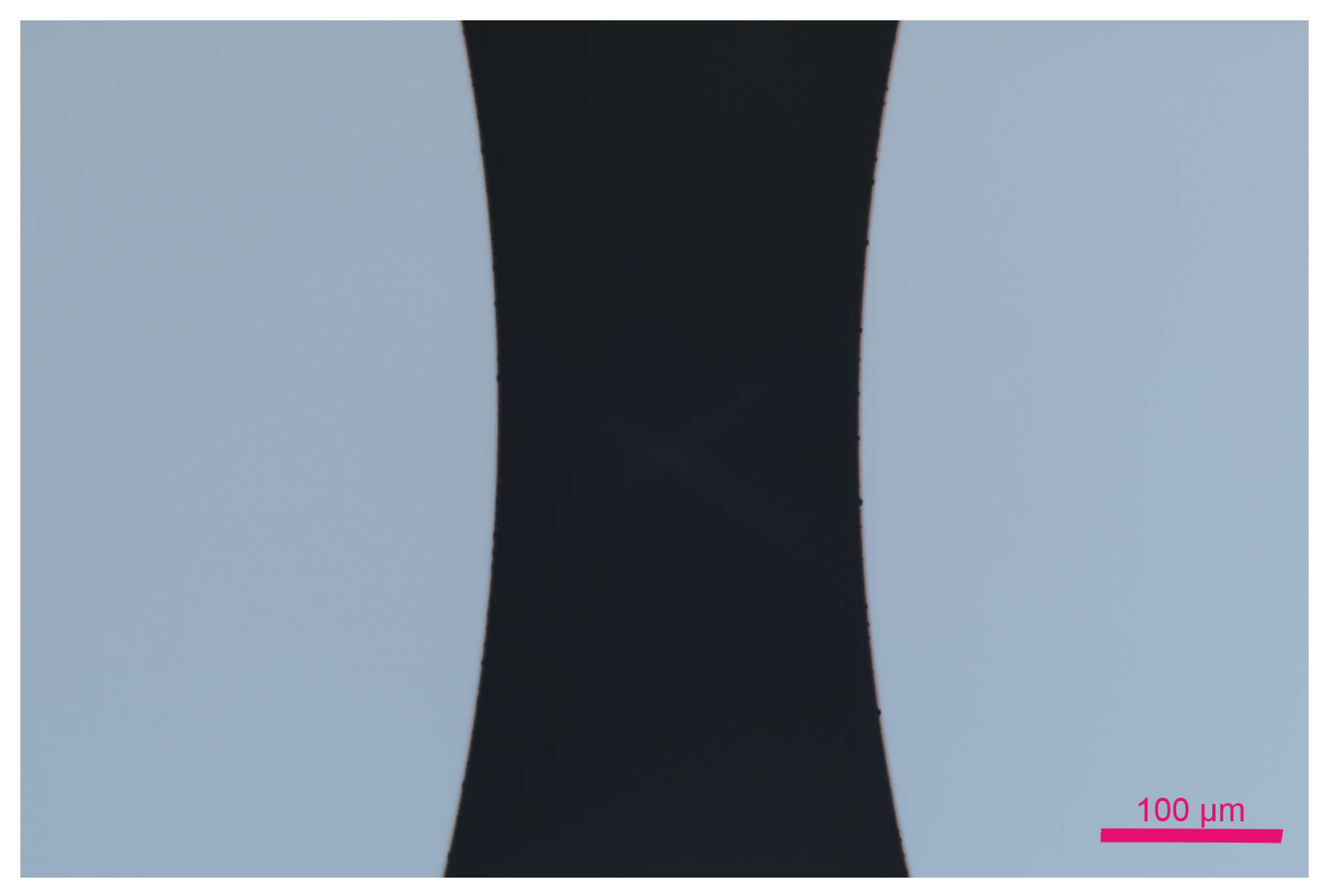 Micro 04 00010 g013 Micro 04 00010 g013