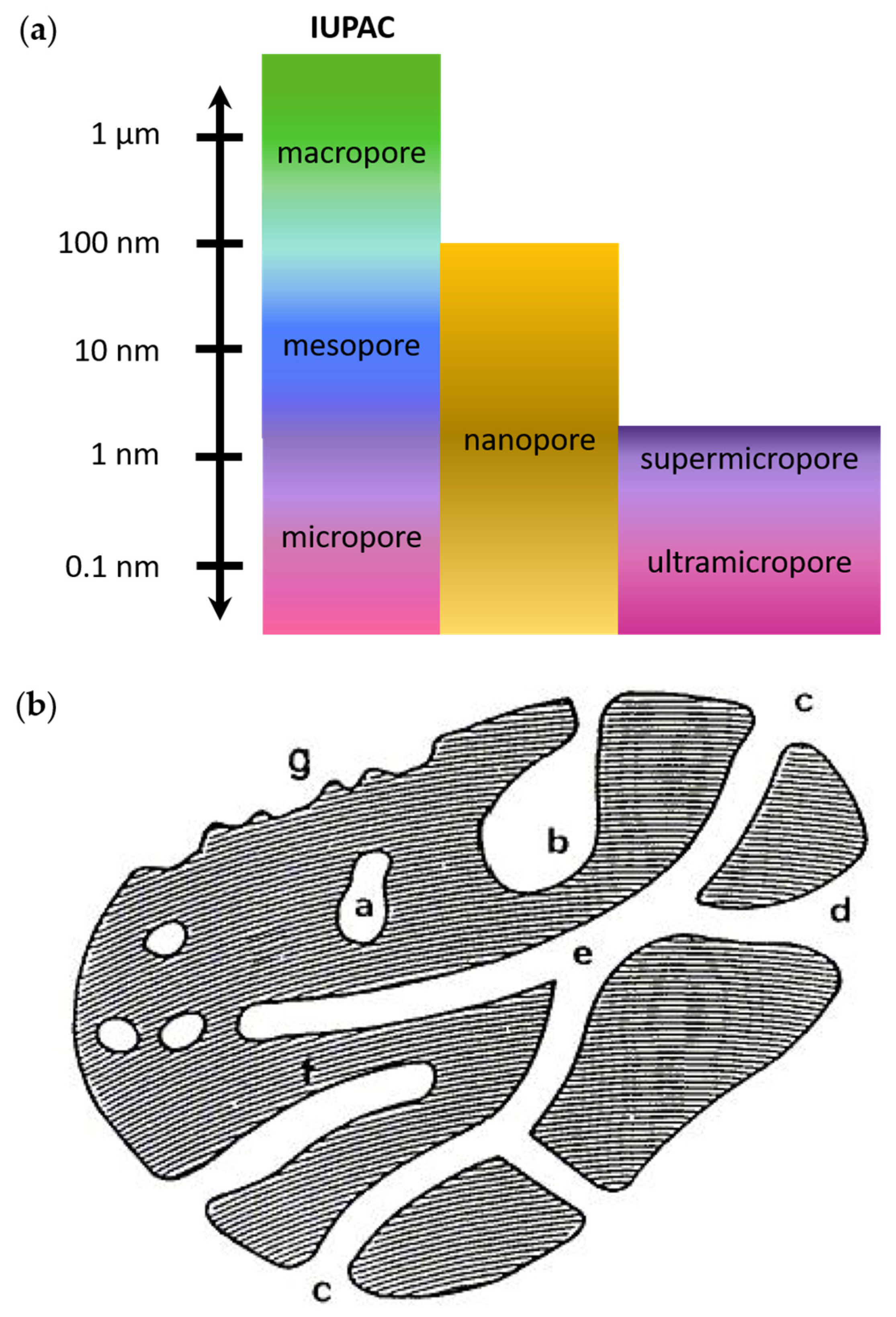 Micro 04 00016 g002 Micro 04 00016 g002