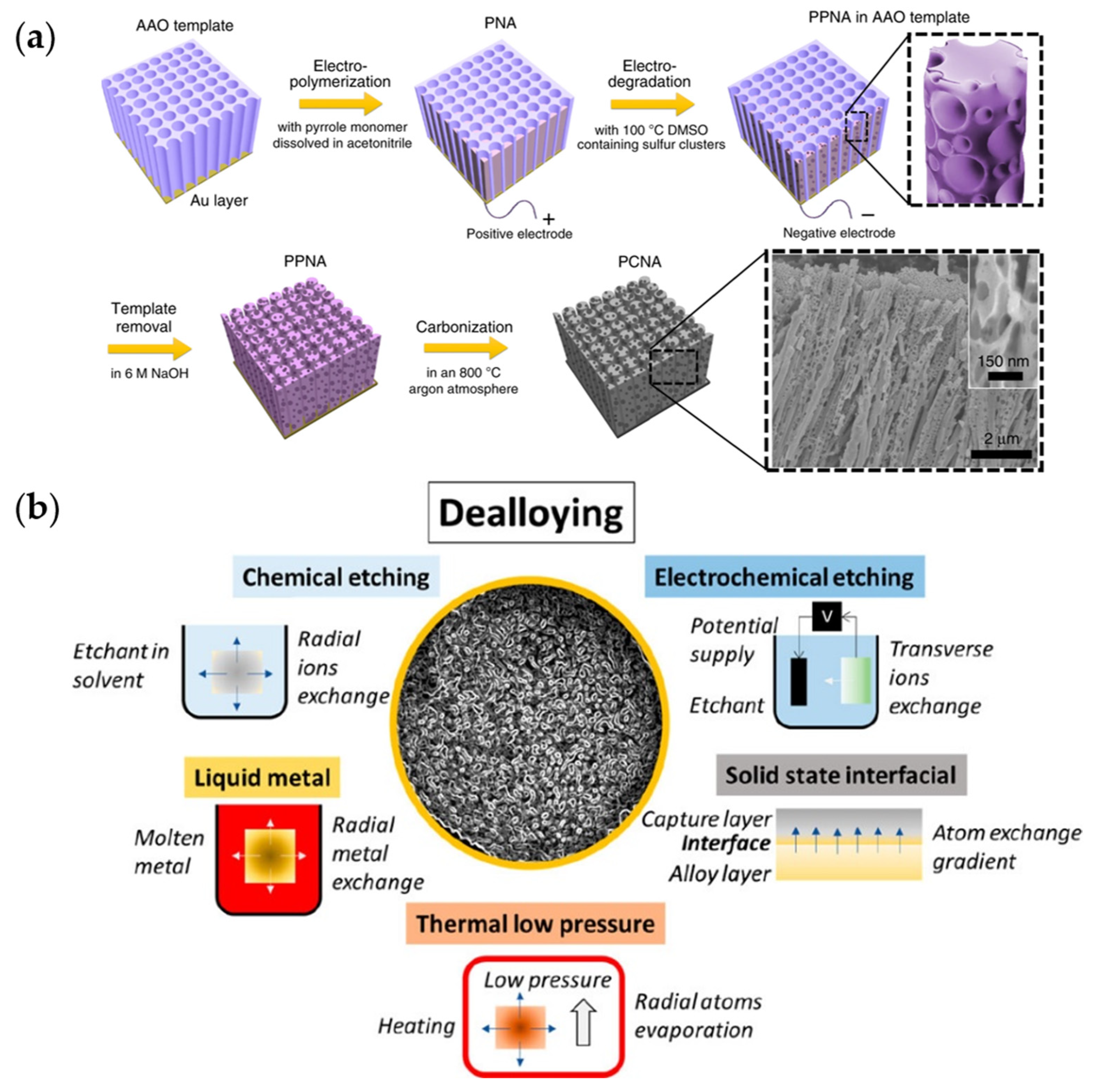 Micro 04 00016 g003 Micro 04 00016 g003