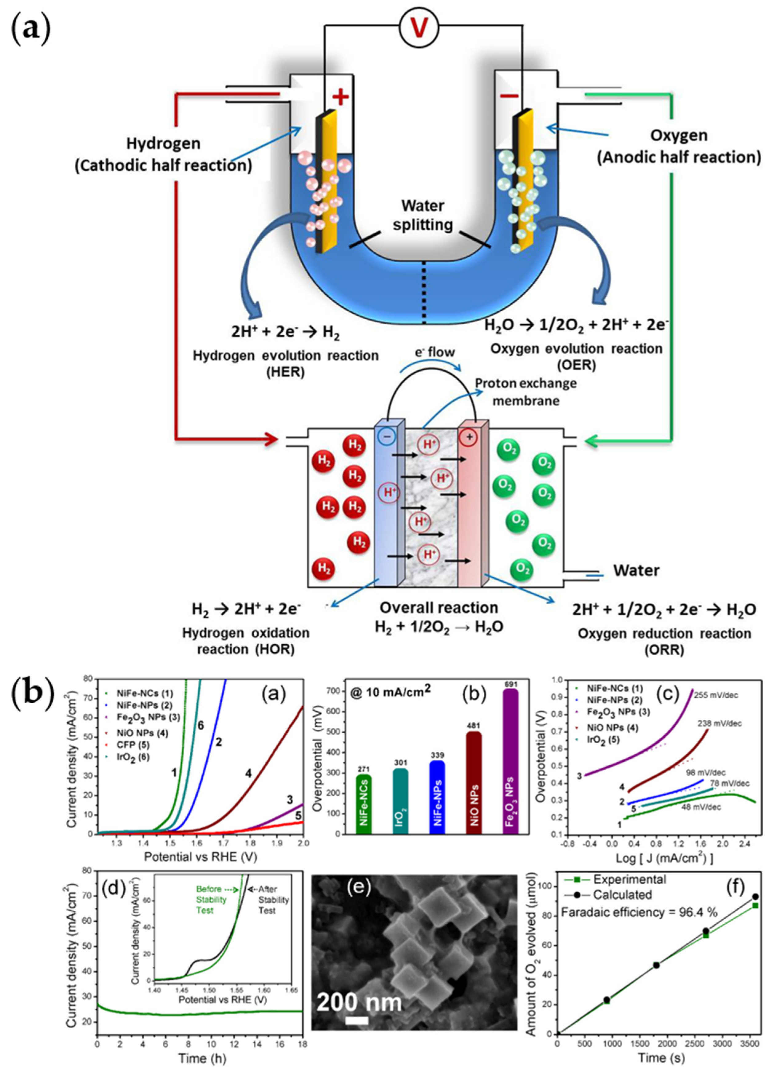 Micro 04 00016 g004 Micro 04 00016 g004