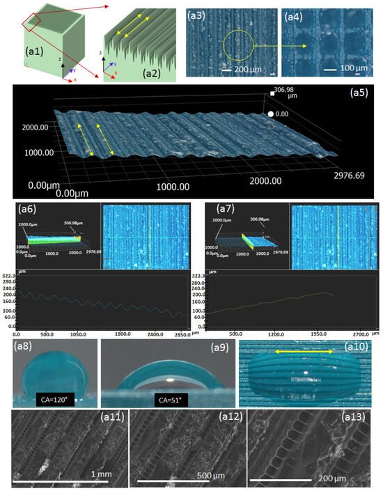 Exploring Microstructure Patterns: Influence on Hydrophobic Properties ...