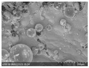 Micro 04 00033 i004