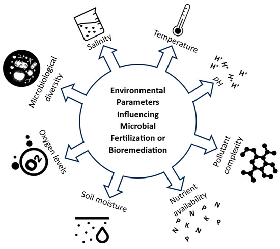 Biofertilization and Bioremediation—How Can Microbiological