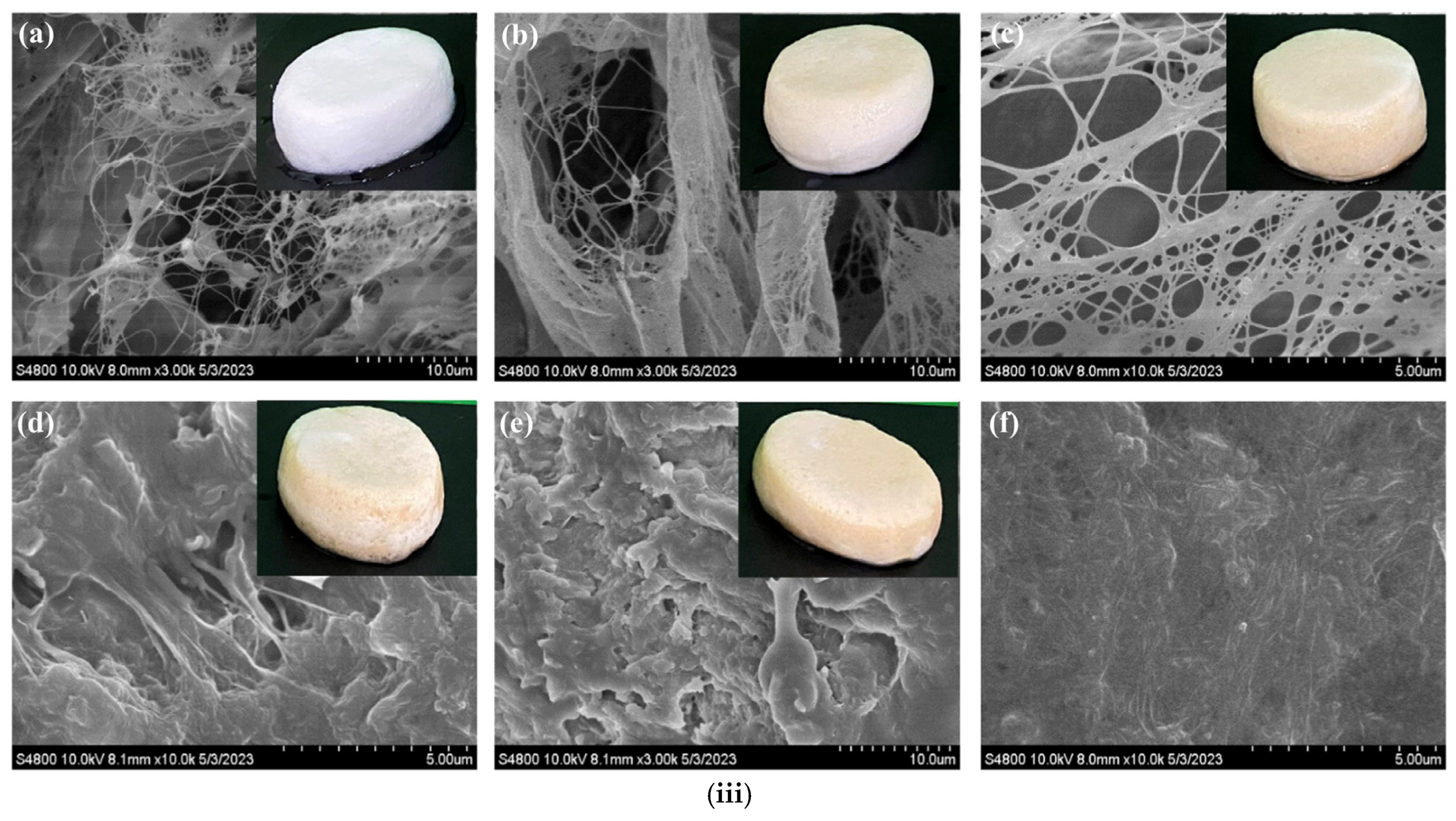 Micro 05 00037 g004b